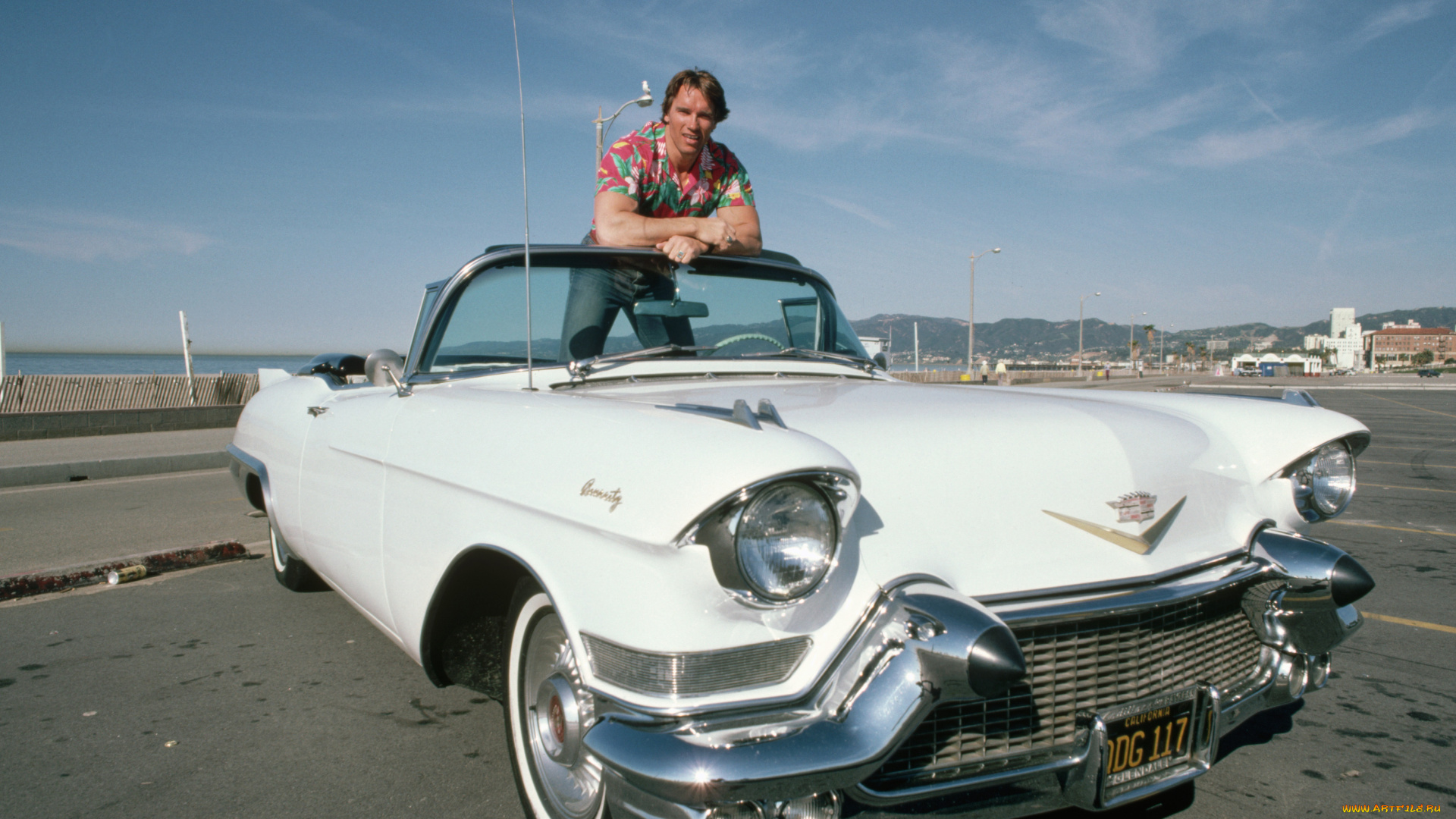 arnold, schwarzenegger, мужчины, cadillac, convert