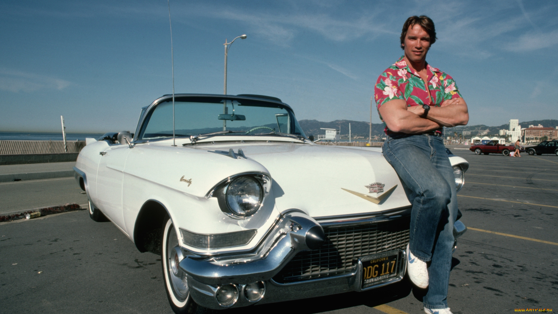 arnold, schwarzenegger, мужчины, cadillac, convert