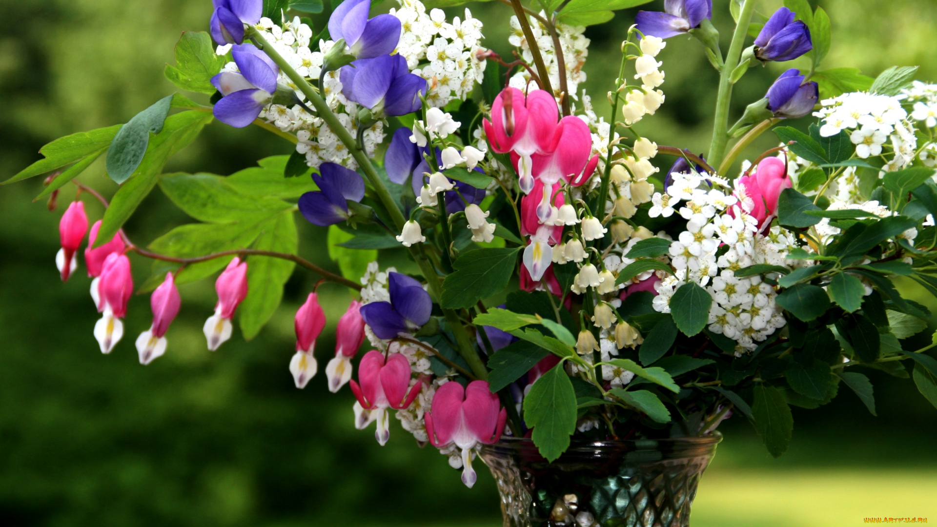 цветы, букеты, композиции, душистый, горошек, дицентра, ландыши