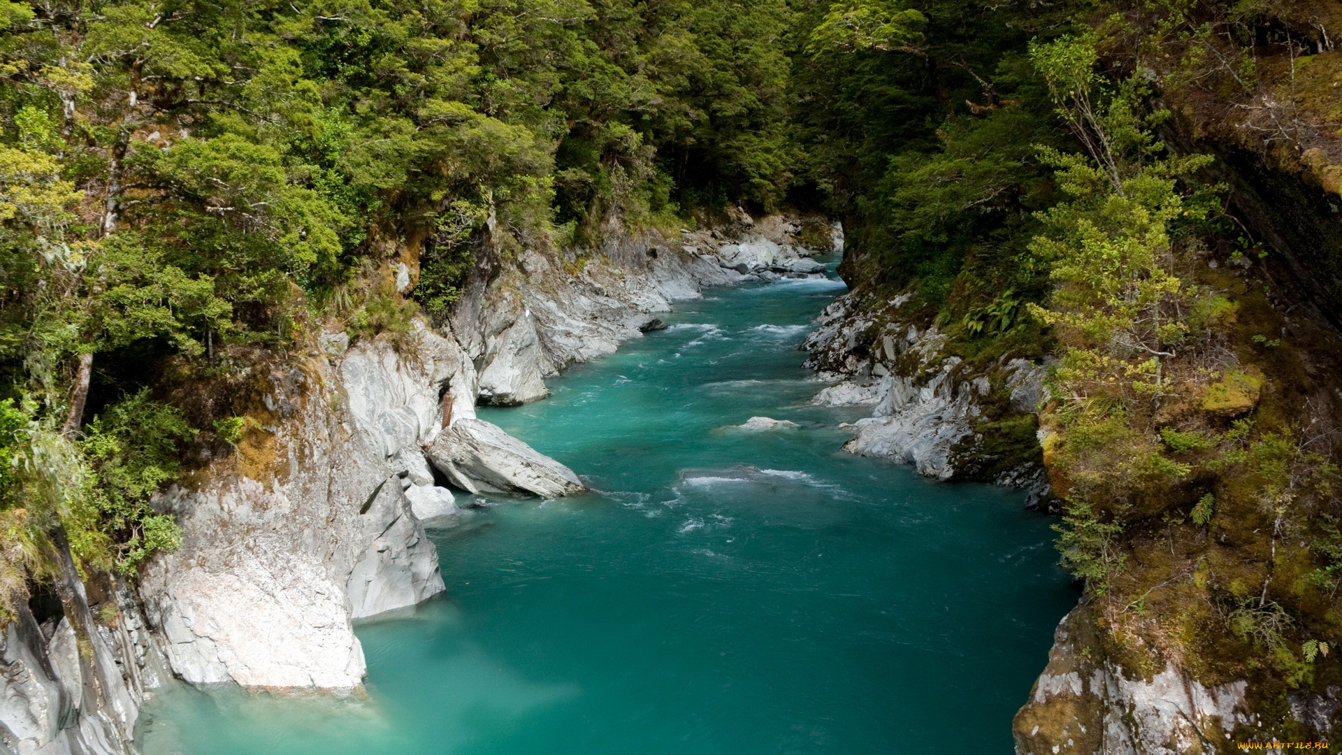 new, zealand, природа, реки, озера, south, island, деревья