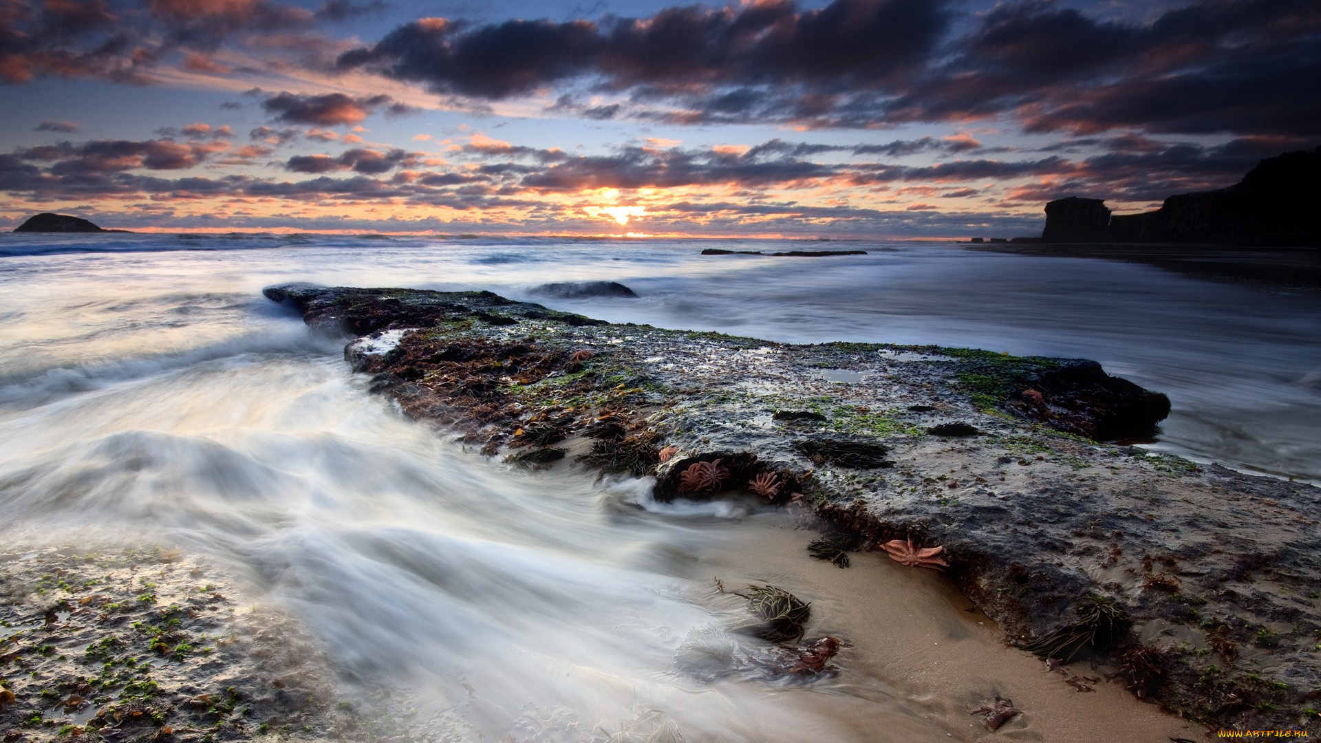 природа, побережье, океан, отлив, тучи