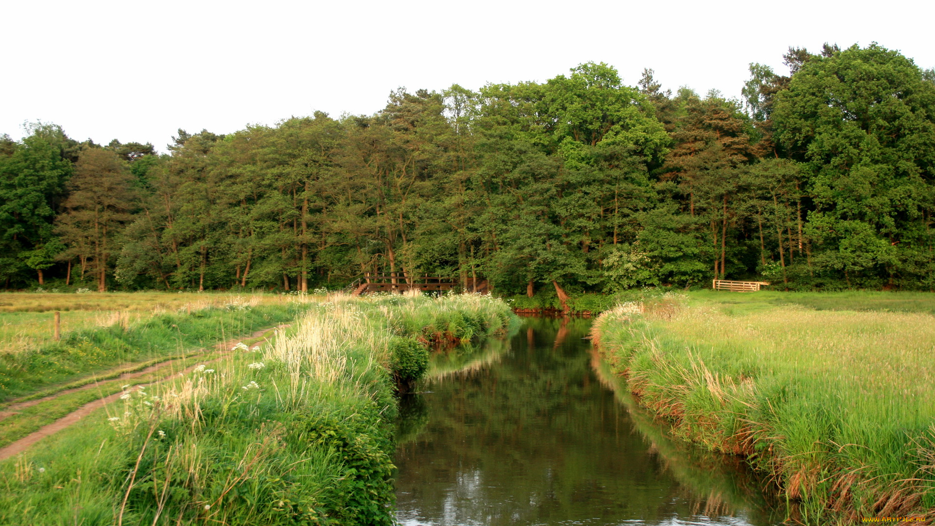 природа, реки, озера, вода, трава, лес