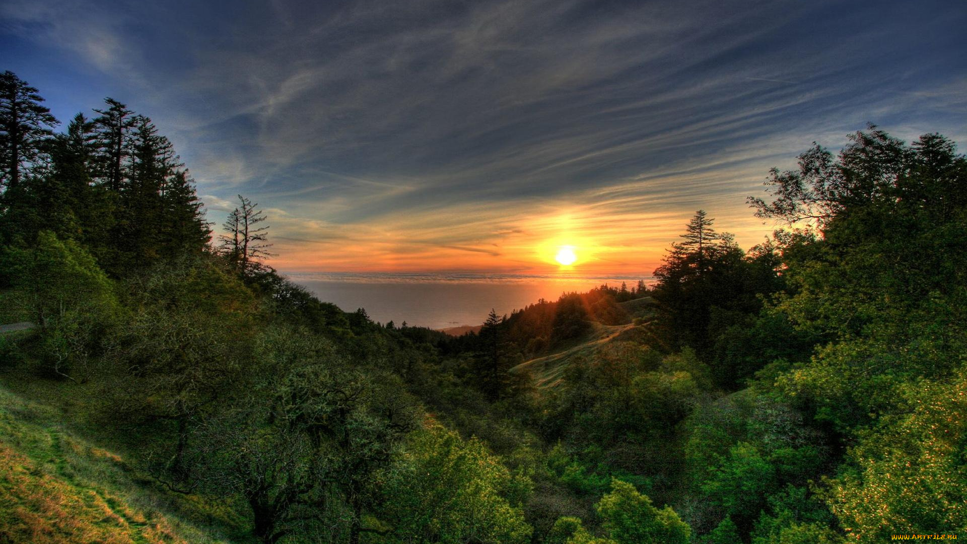 природа, восходы, закаты, закат, море, лес, берег