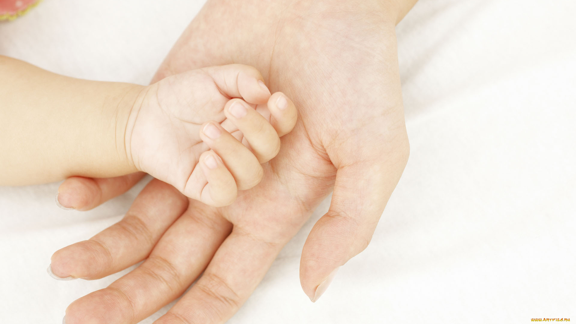 разное, руки, ладошки