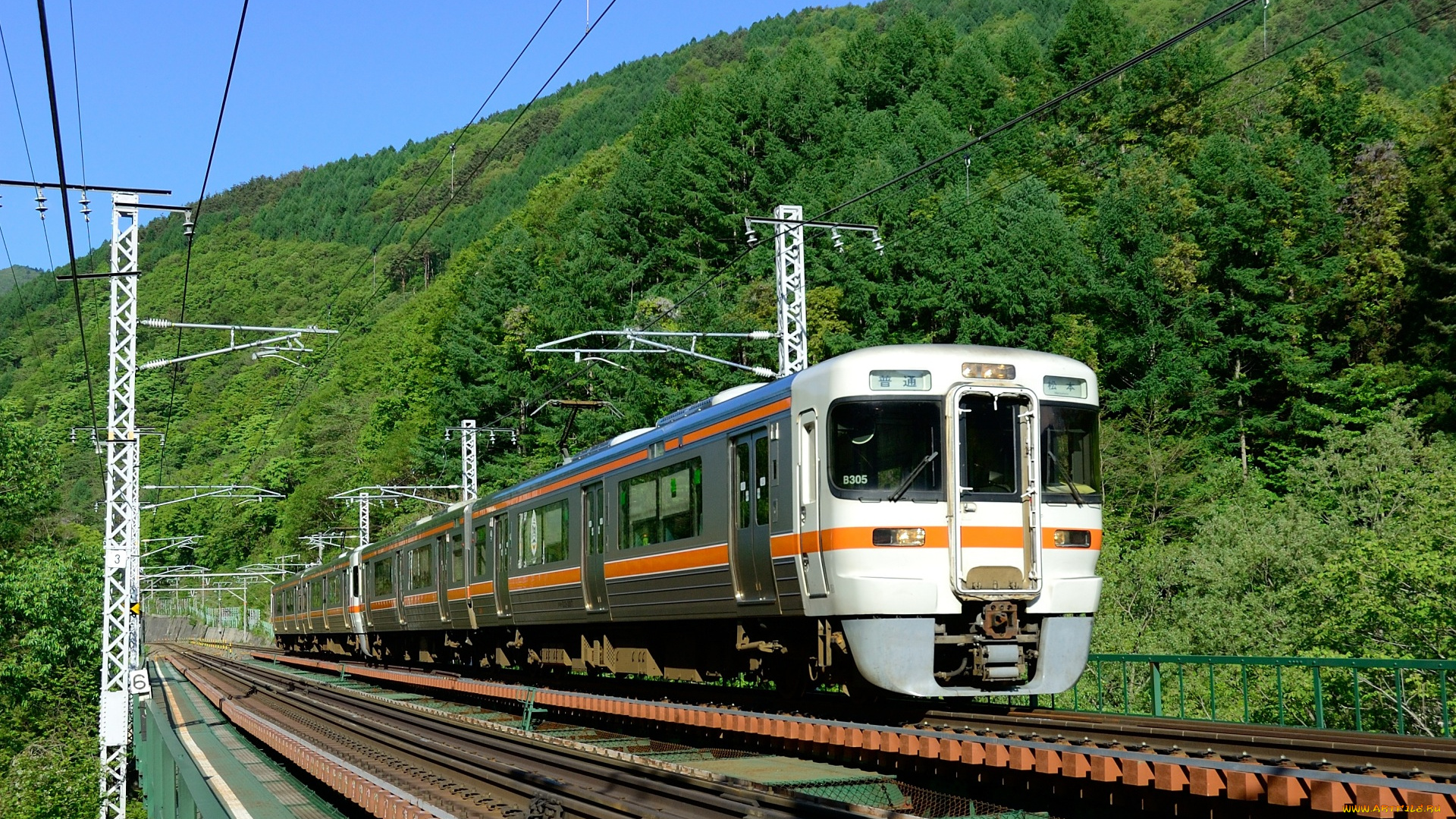 техника, электрички, лес, электричка, рельсы