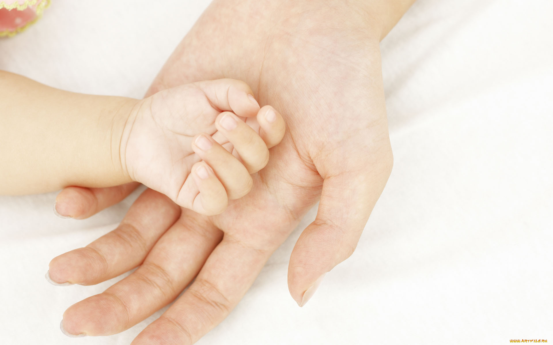 разное, руки, ладошки
