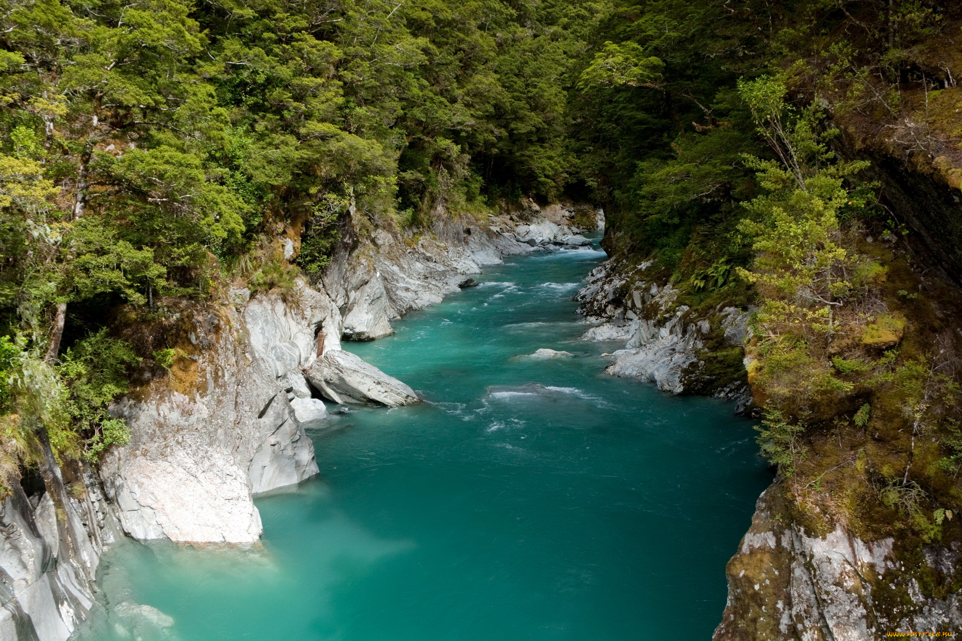 new, zealand, природа, реки, озера, south, island, деревья