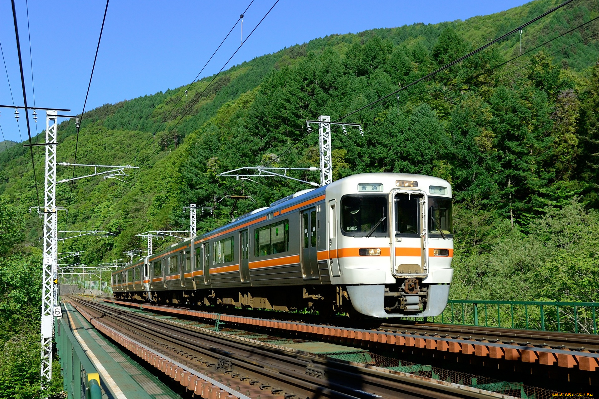 техника, электрички, лес, электричка, рельсы