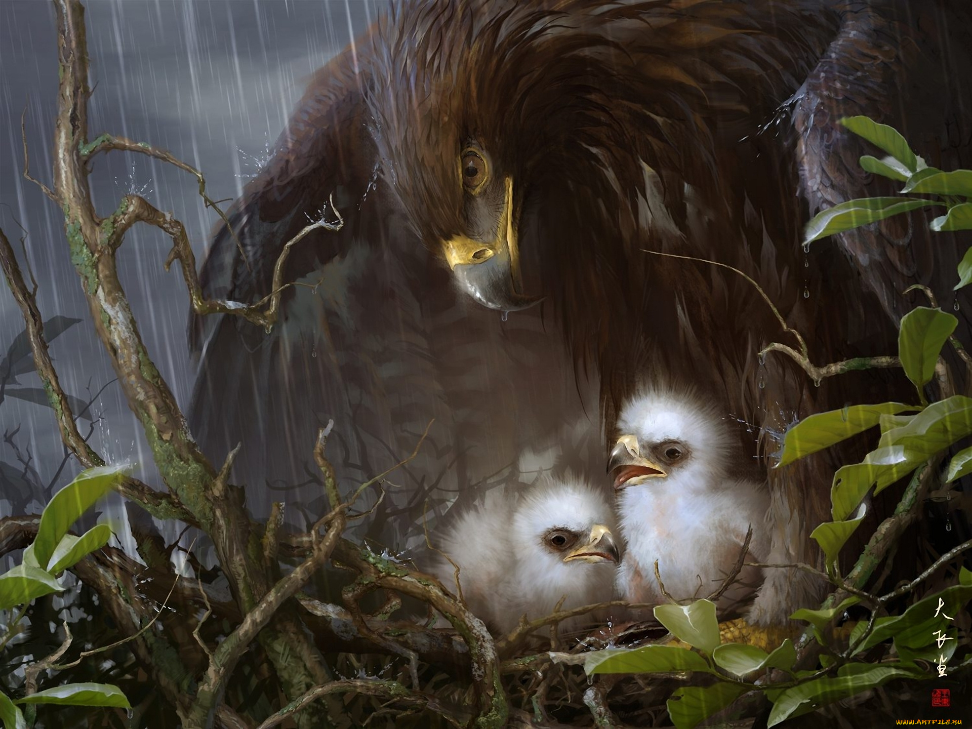 рисованные, животные, птицы, орлы, орёл, птенцы, дождь