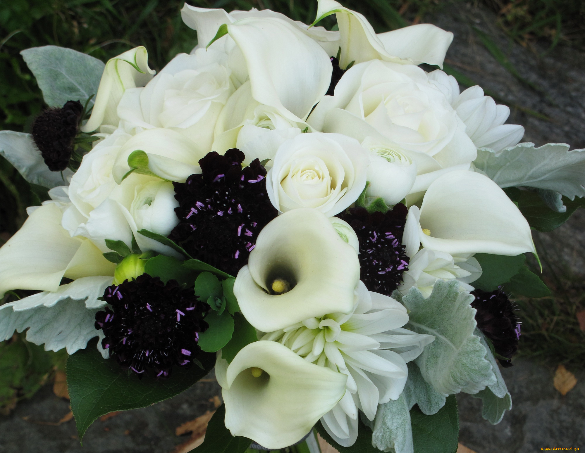 цветы, букеты, композиции, букет