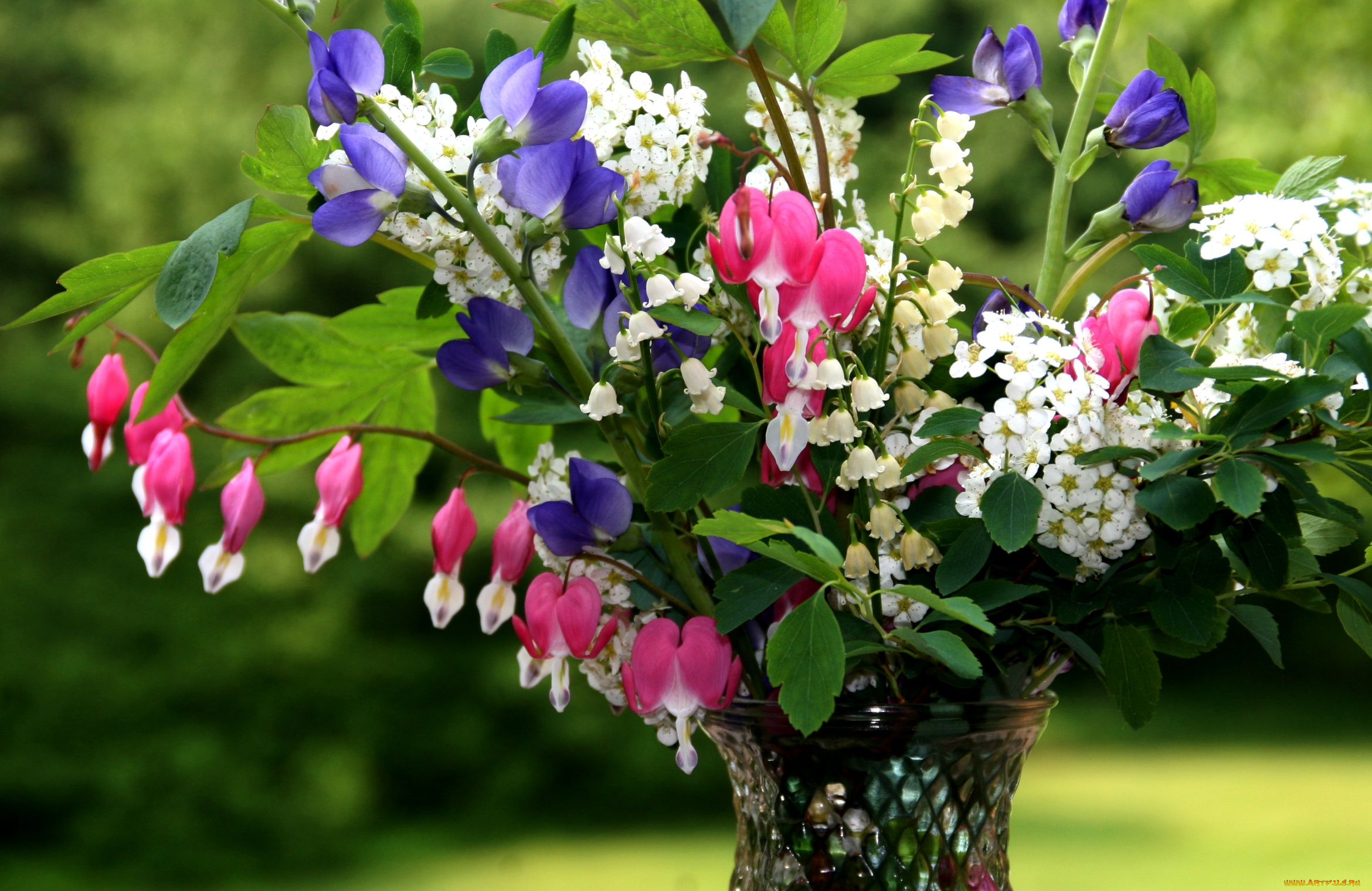 цветы, букеты, композиции, душистый, горошек, дицентра, ландыши