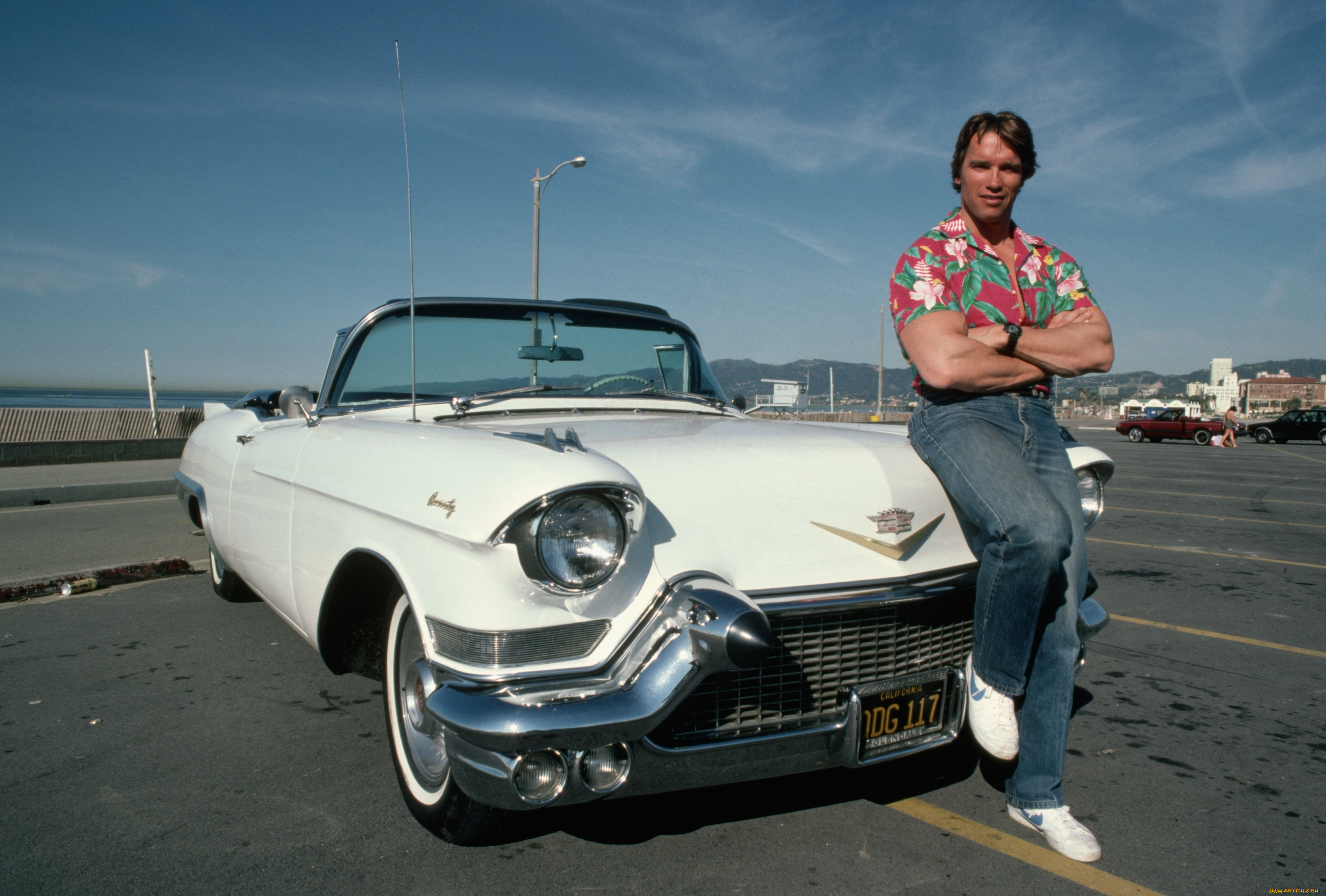 arnold, schwarzenegger, мужчины, cadillac, convert