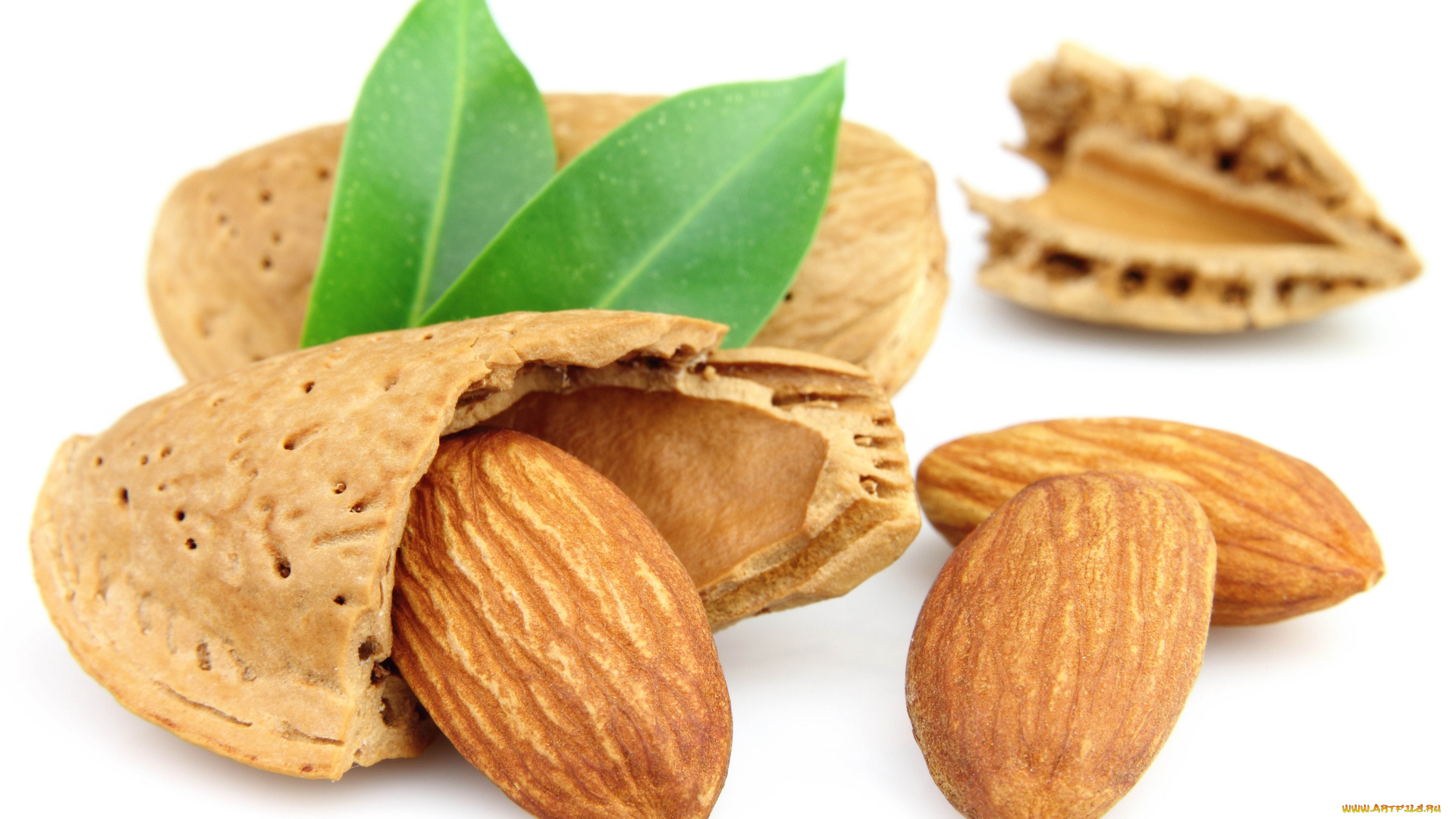 еда, орехи, каштаны, орешки, скорлупа, белый, фон, миндаль