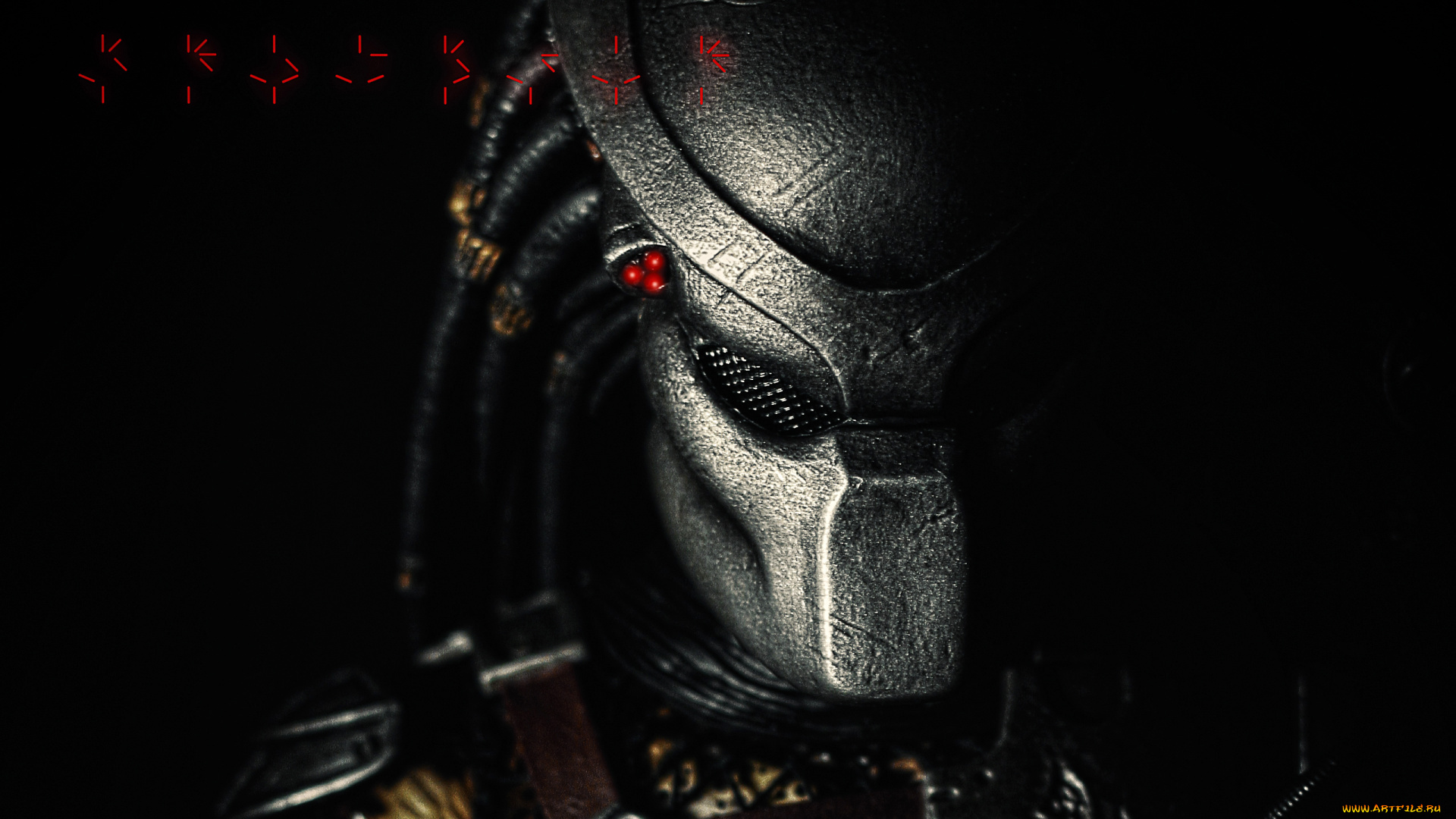 predator, кино, фильмы, хищник