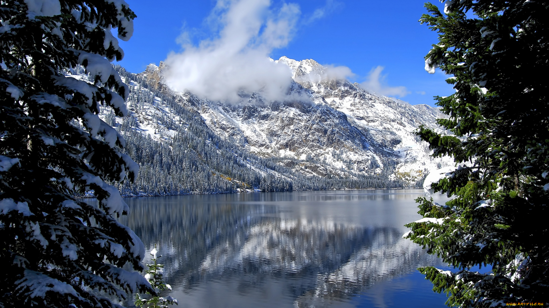 природа, реки, озера, wyoming, jenny, lake