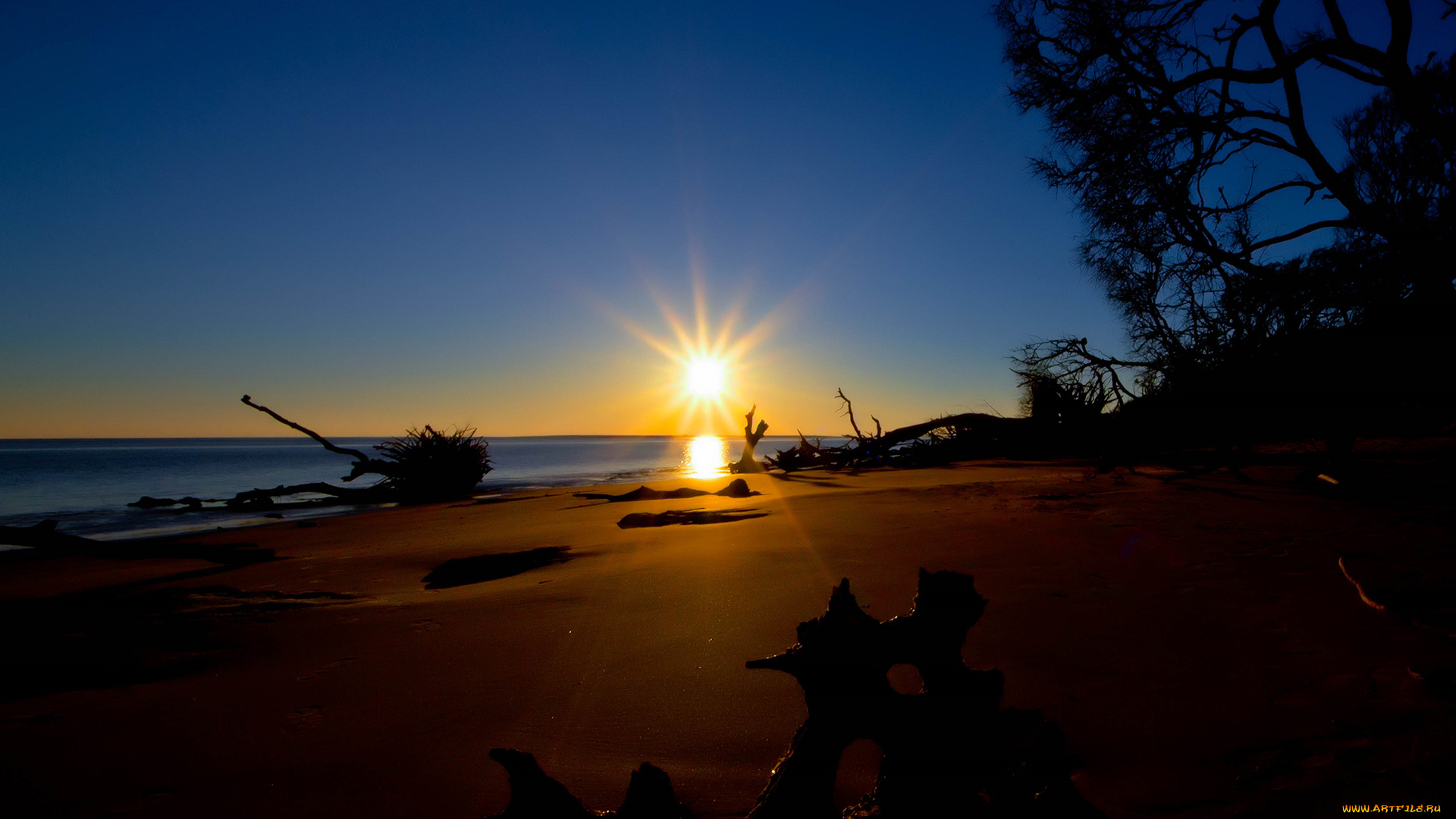 природа, восходы, закаты, солнце, коряги, лучи