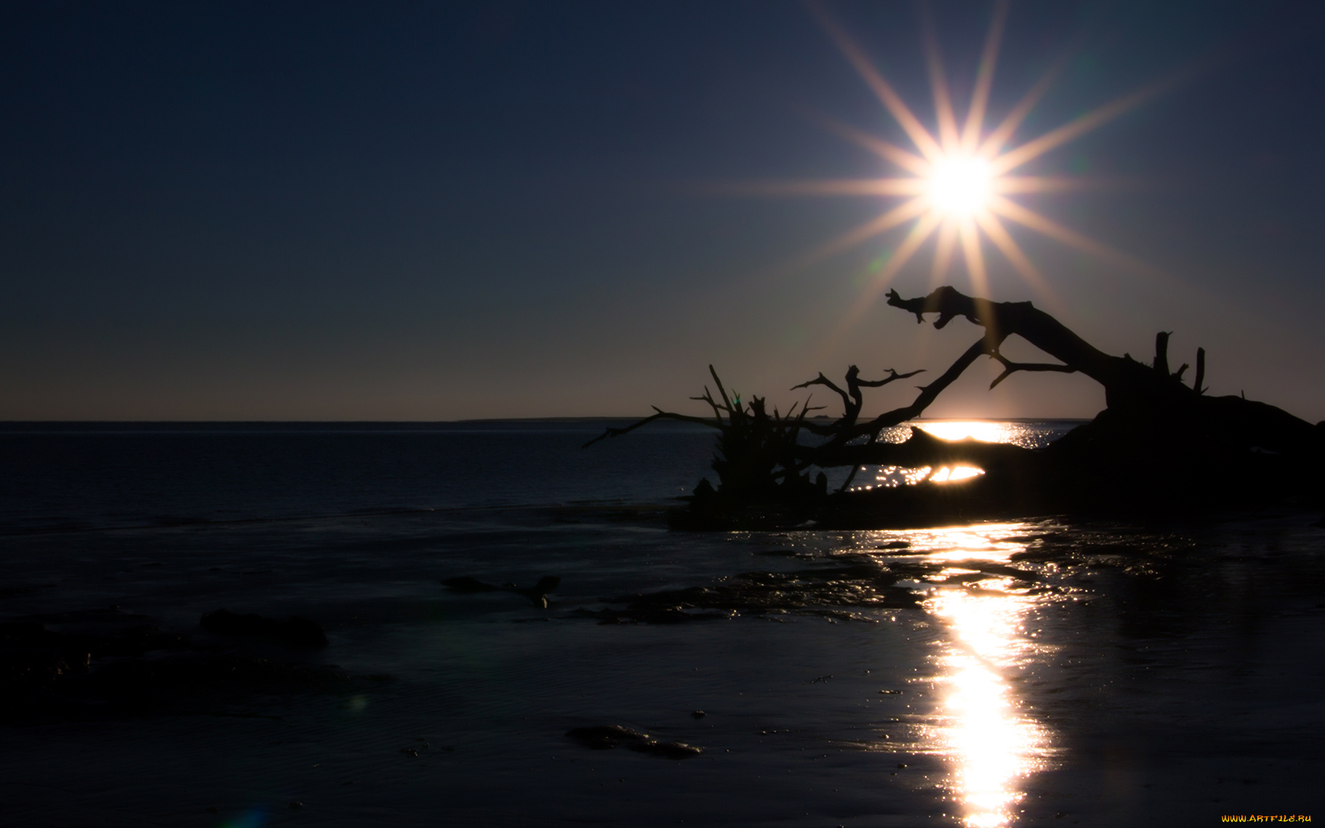 природа, восходы, закаты, коряги, солнце, лучи