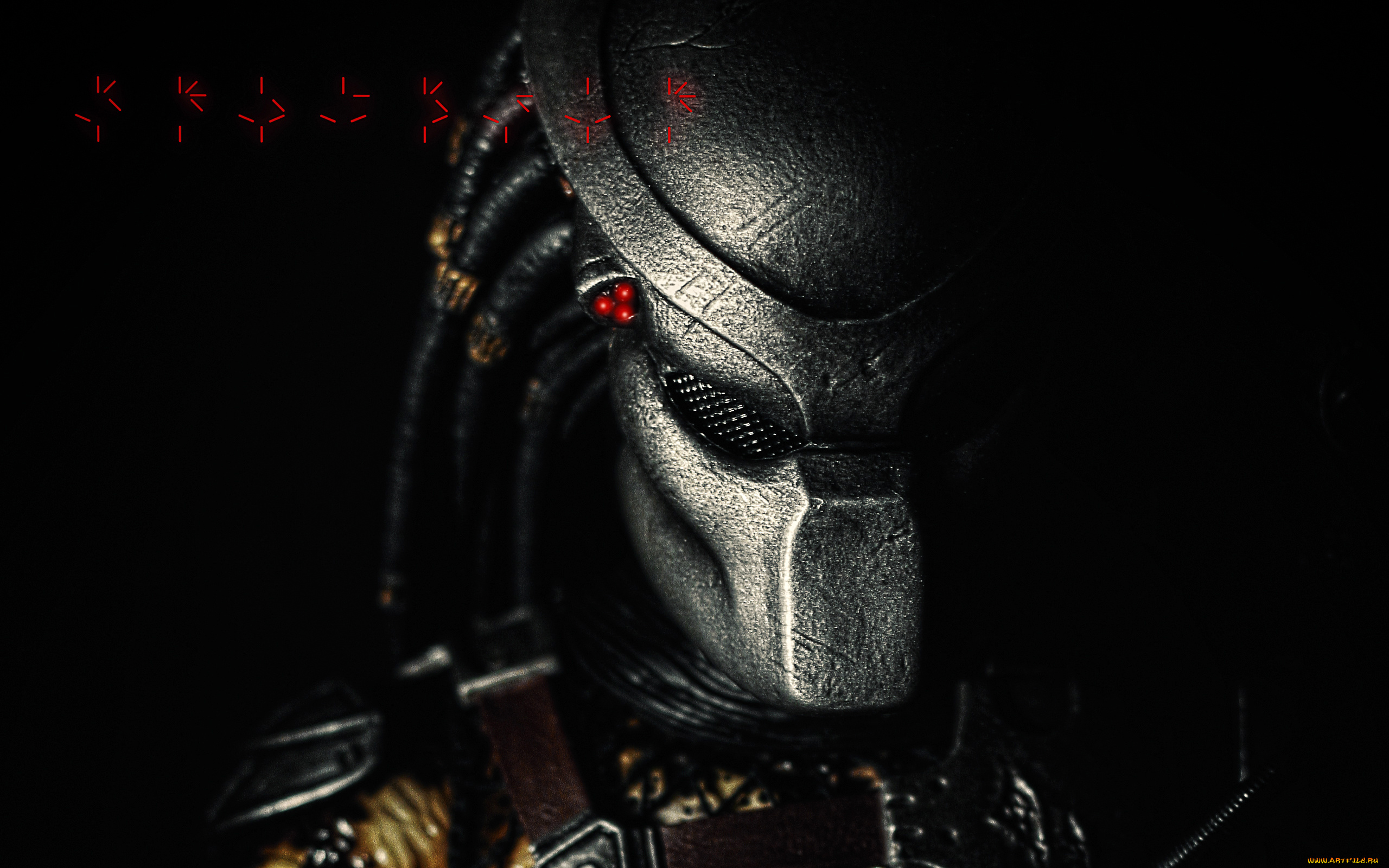 predator, кино, фильмы, хищник