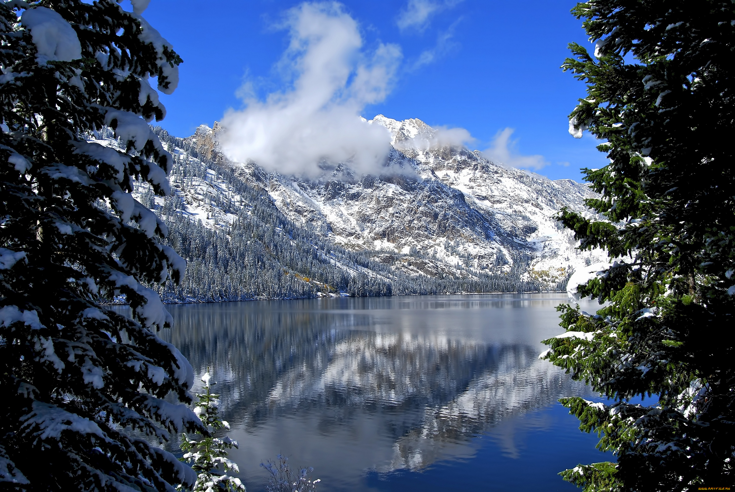 природа, реки, озера, wyoming, jenny, lake