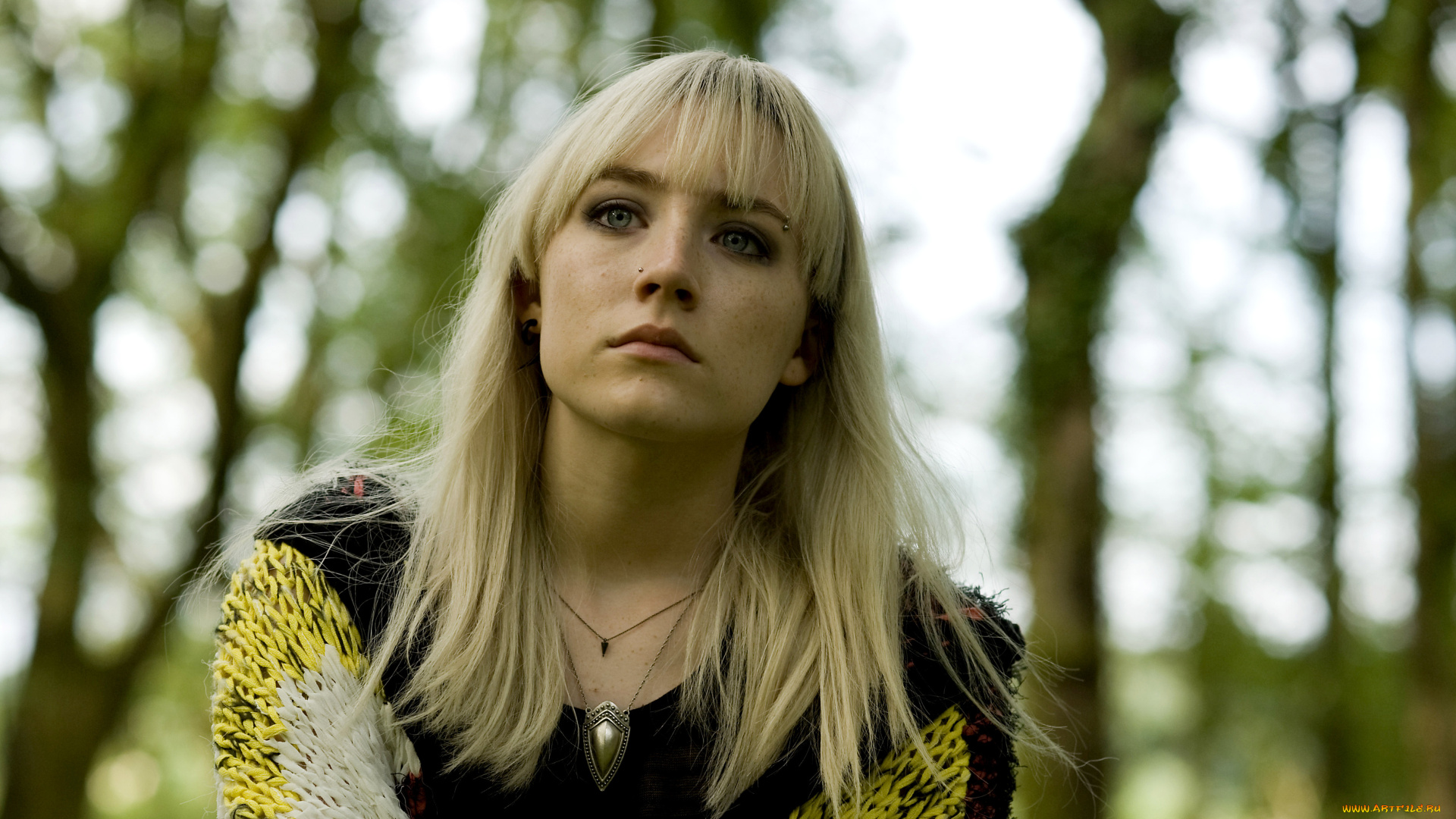 кино, фильмы, how, i, live, now, лес, украшение, свитер, блондинка, актриса, портрет, how, i, live, now, saorise, ronan