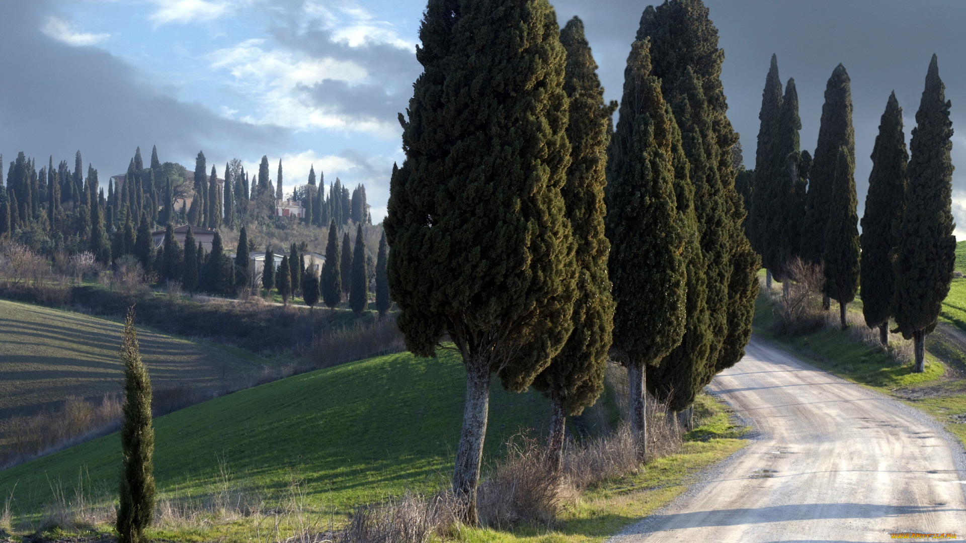 природа, дороги, silent, guardians, пейзаж, italy, tuscany
