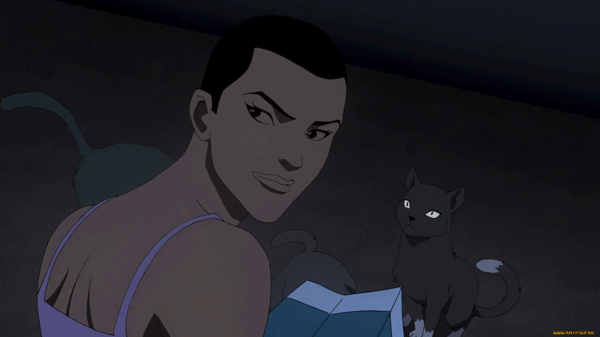 рисованные, люди, мужчина, кот