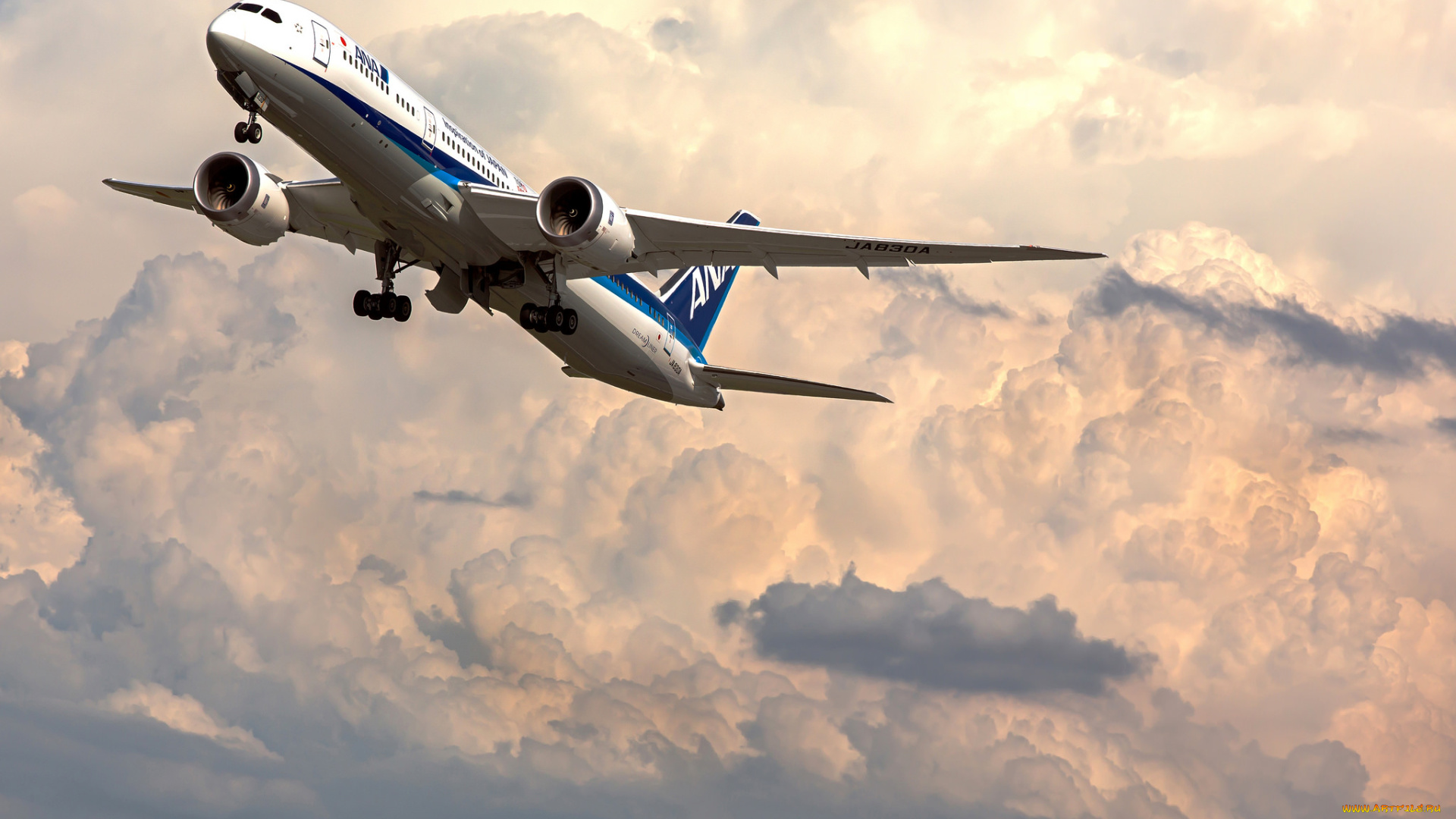 boeing, 787, dreamliner, авиация, пассажирские, самолёты, авиалайнер