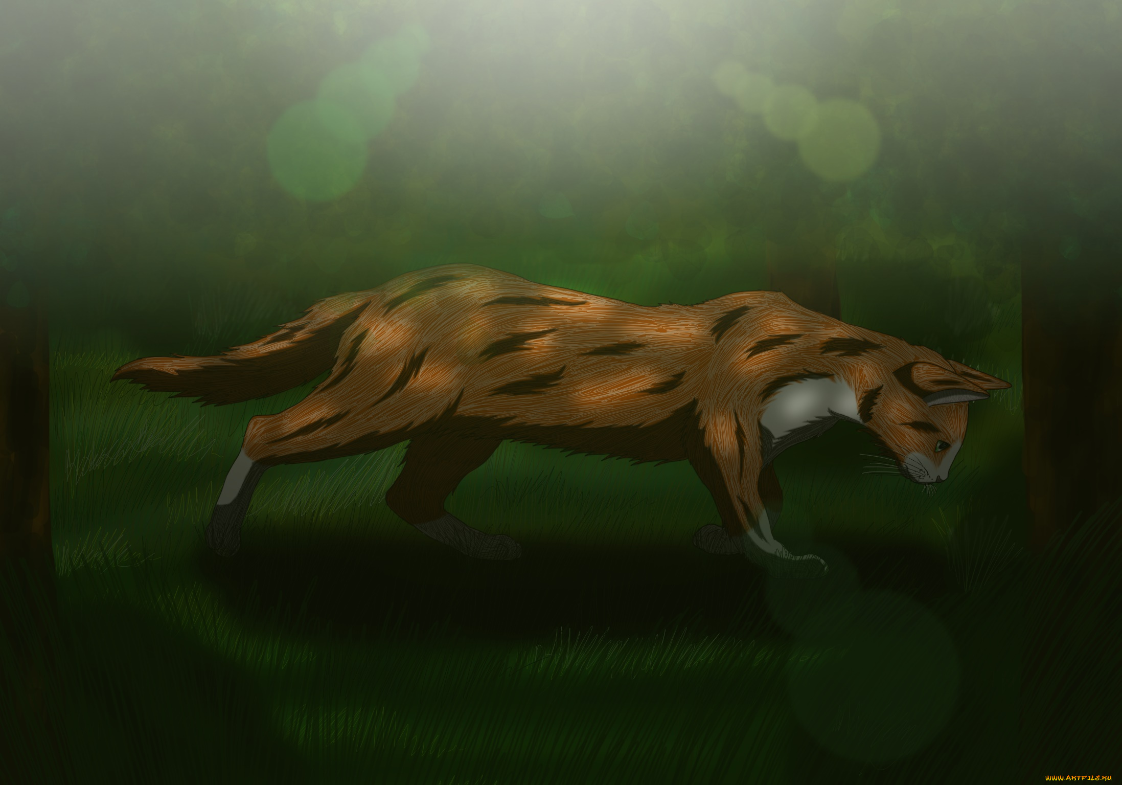 рисованное, животные, , коты, лето, кот, трава