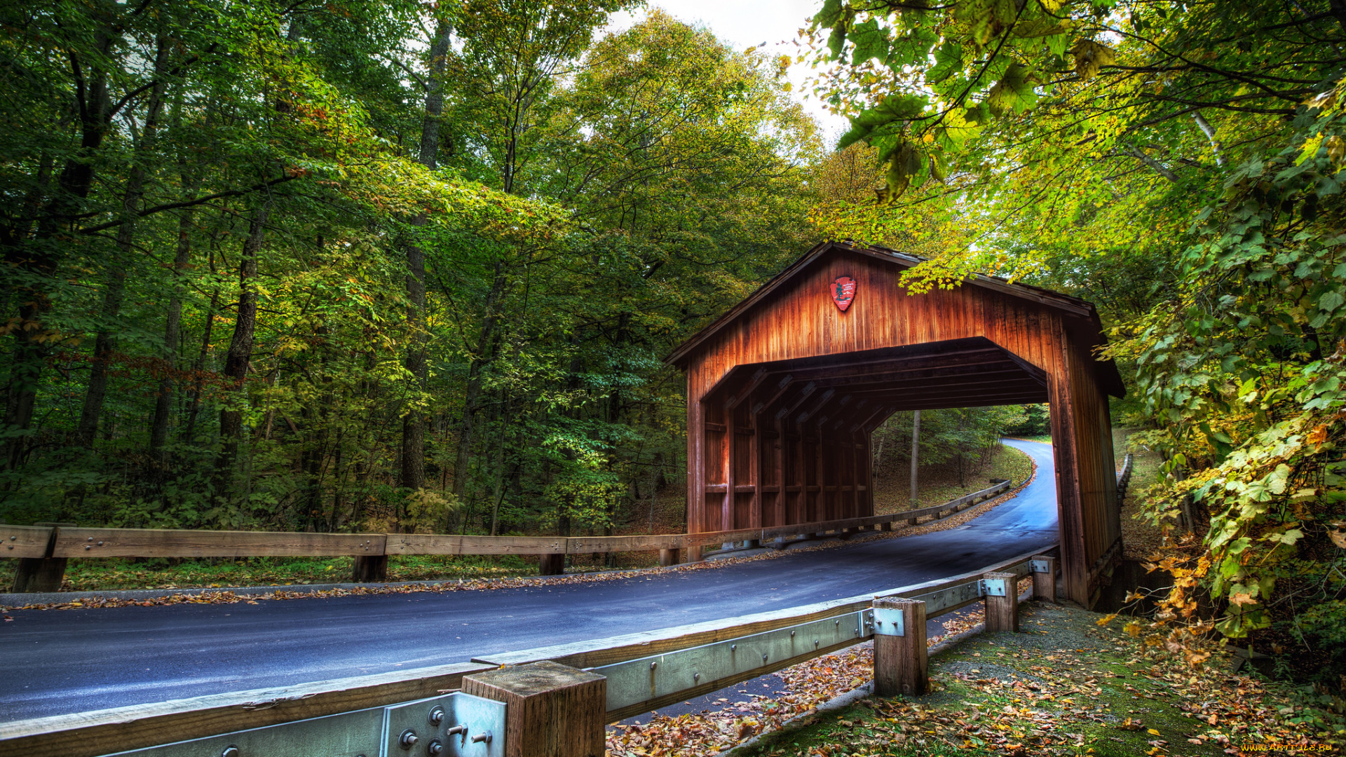 природа, дороги, тракт