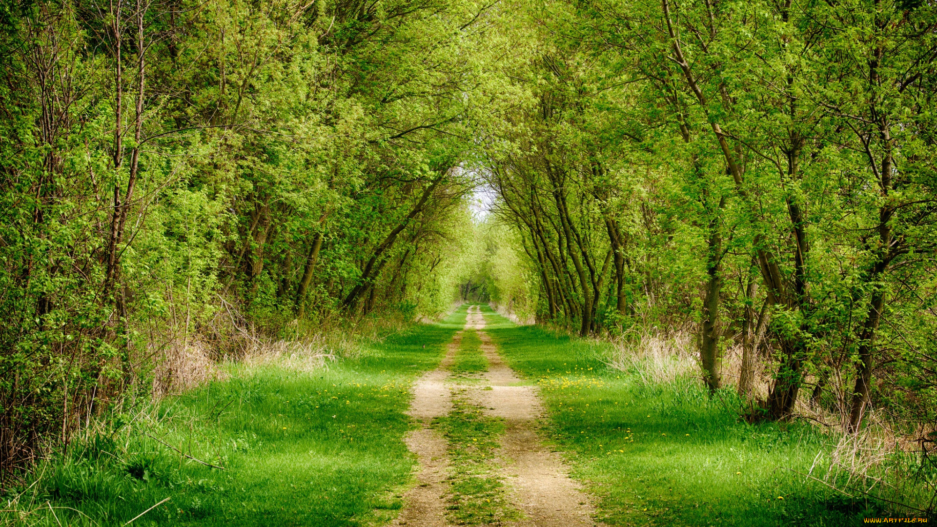 природа, дороги, тракт