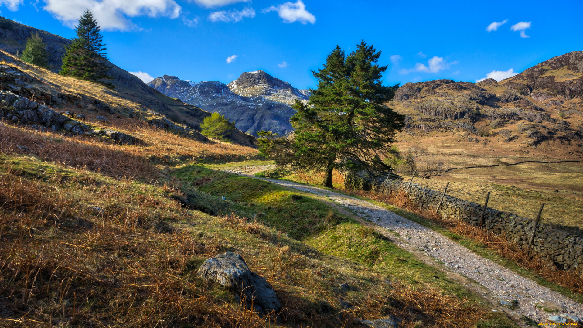 природа, дороги, тракт