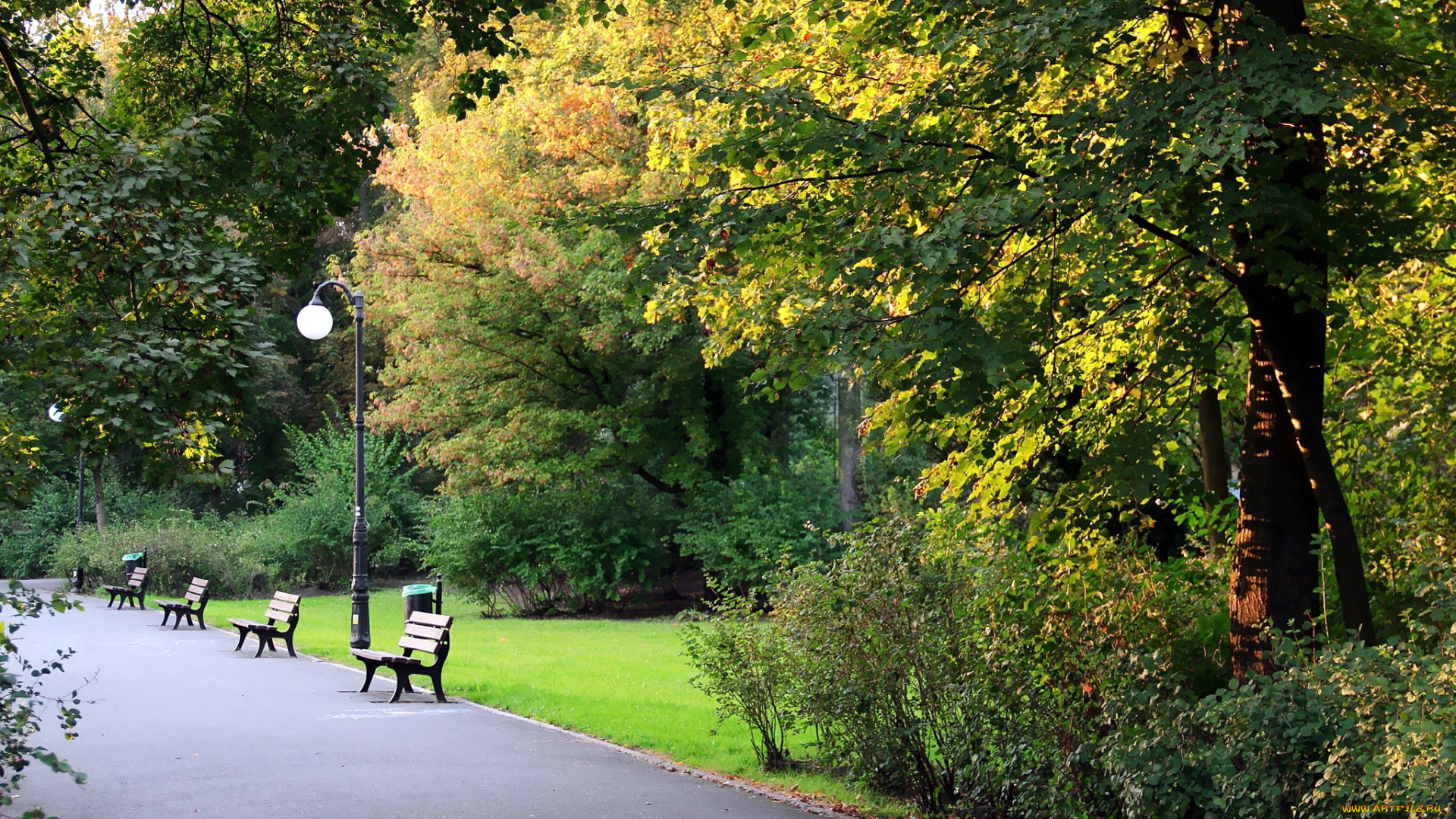 природа, парк, осень, скамейки, фонарь, аллея