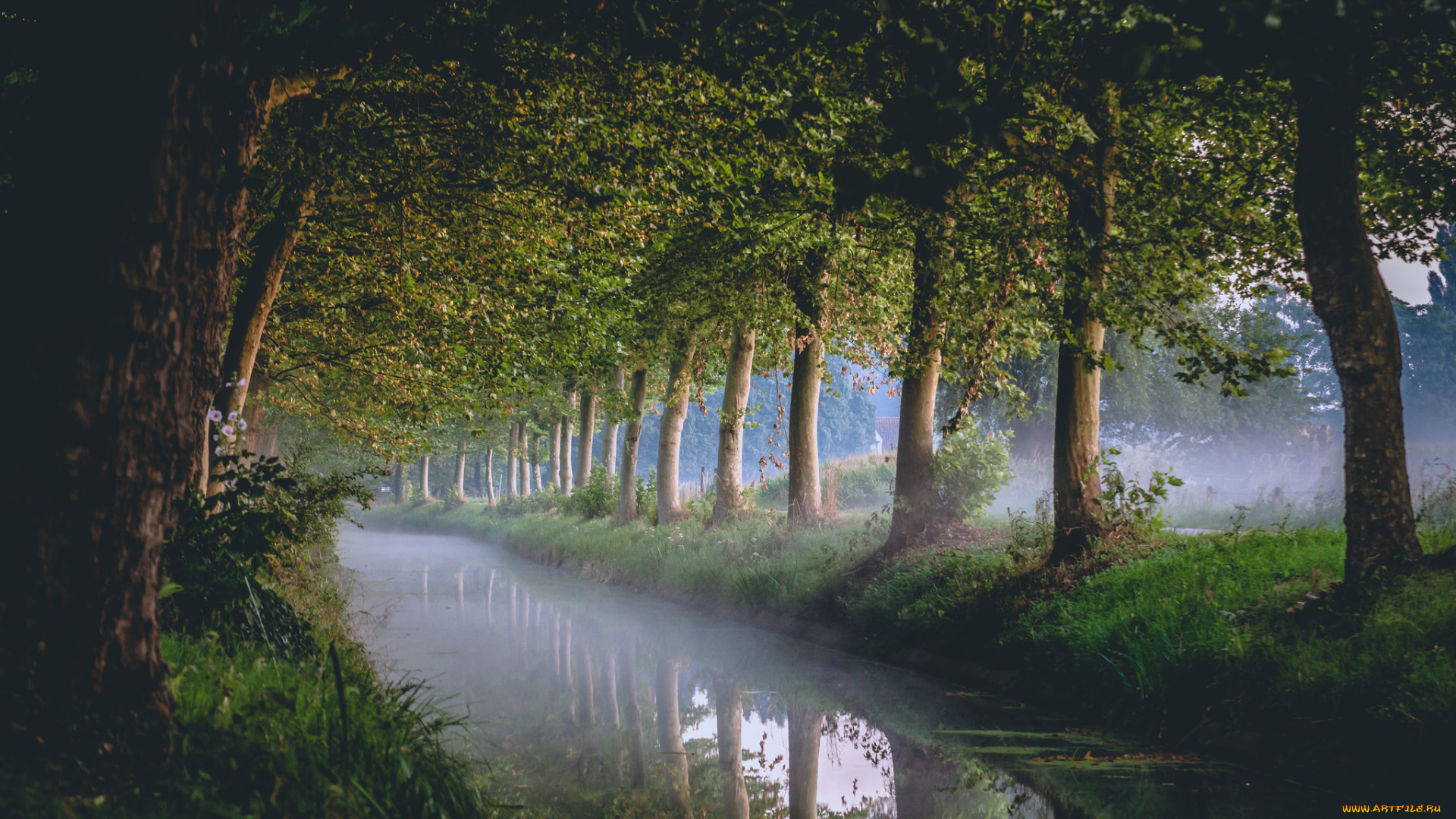 природа, реки, озера, деревья, канал