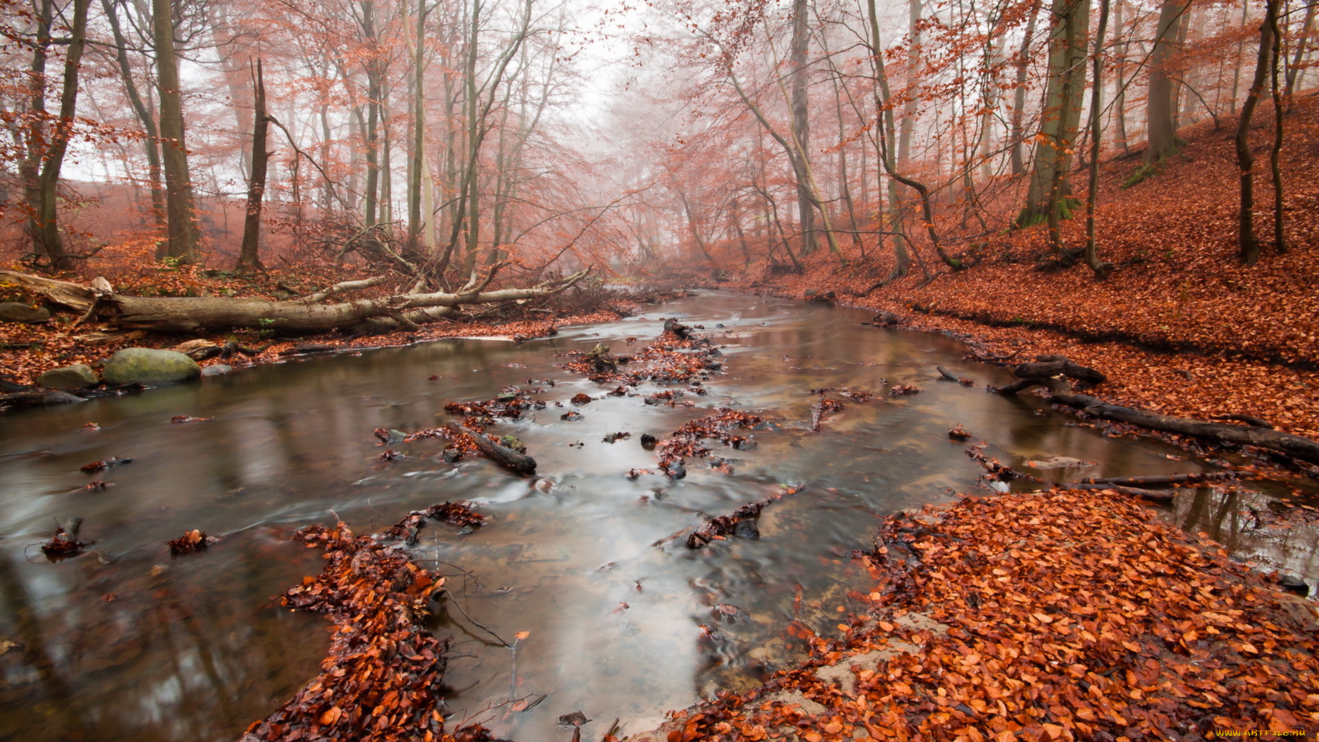 природа, реки, озера, лес, река, осень