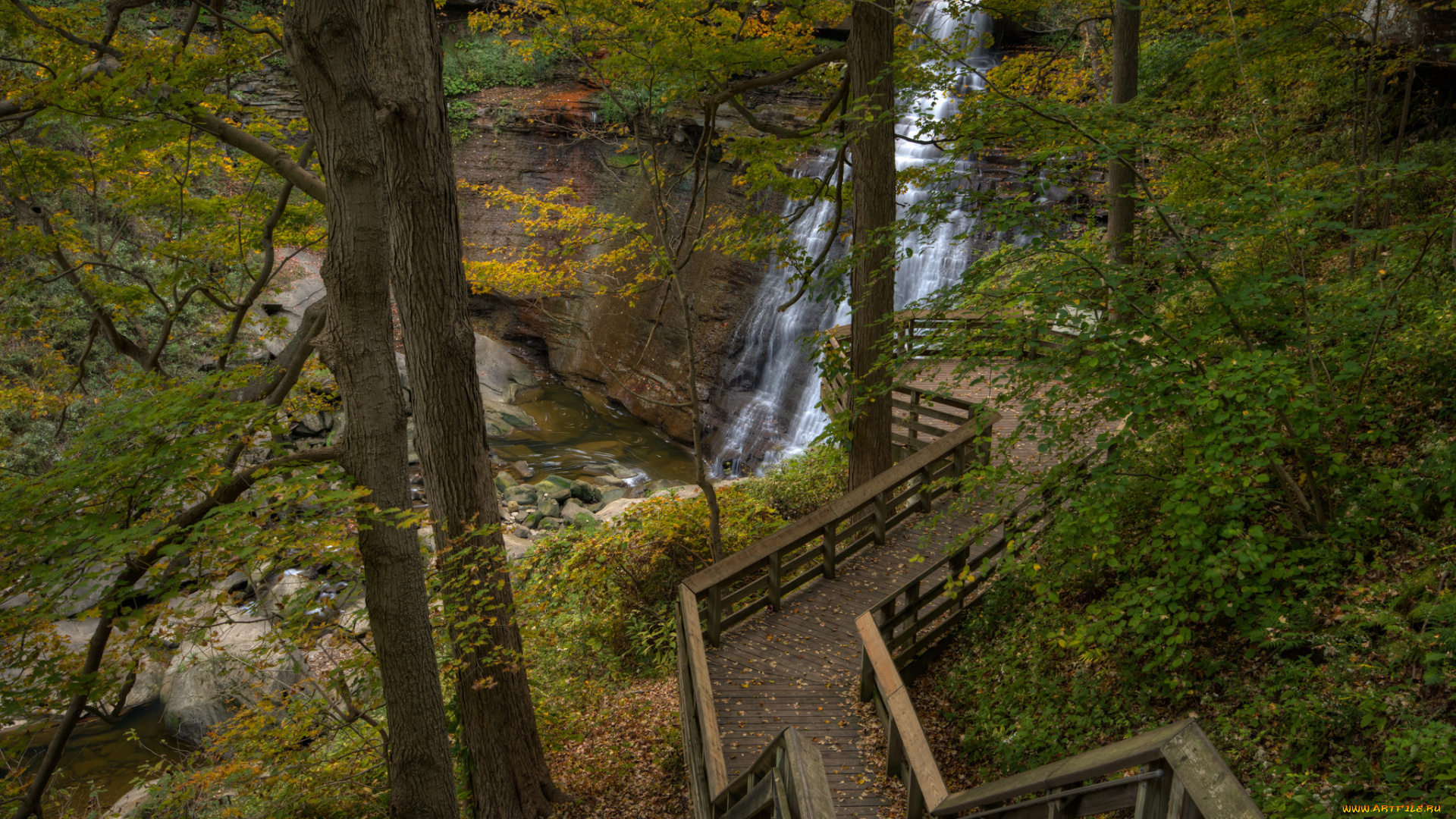 природа, водопады, водопад, река, лес