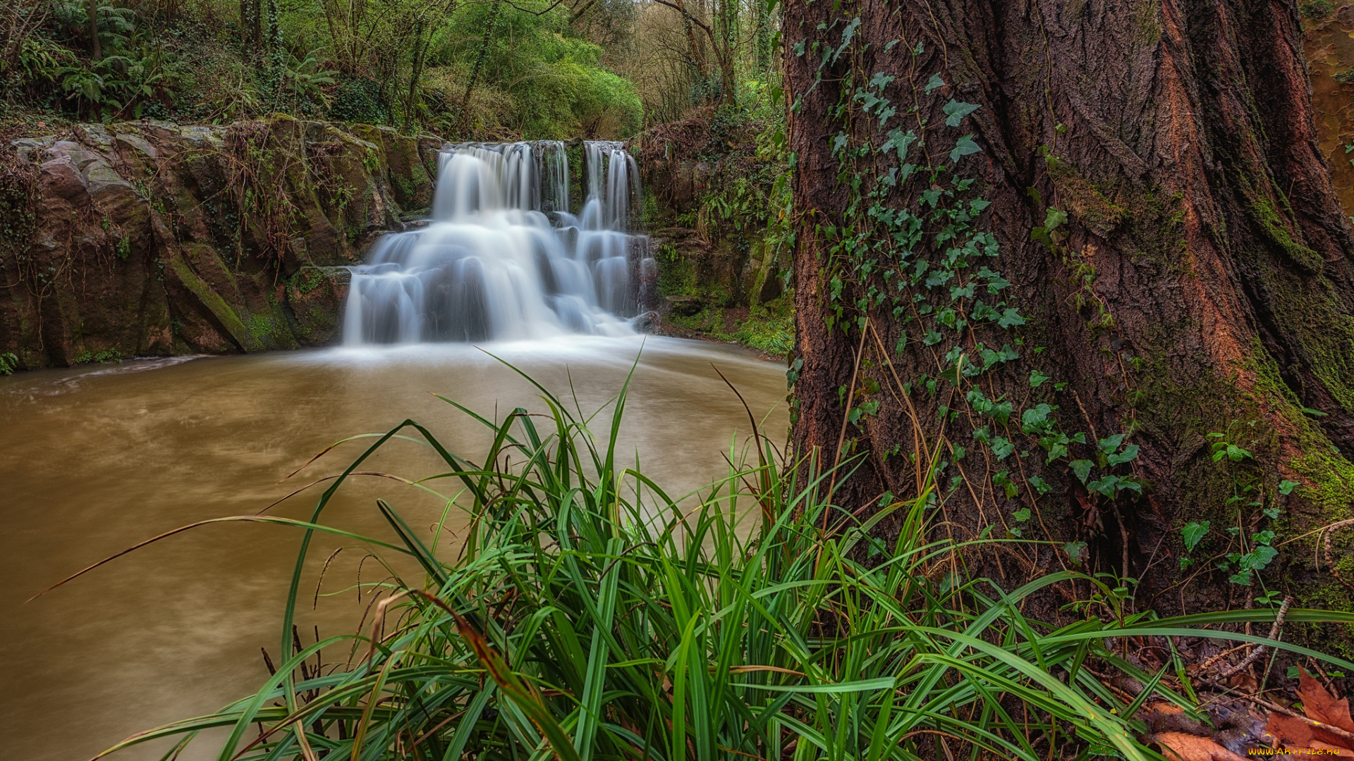 природа, водопады, водопад, река, лес