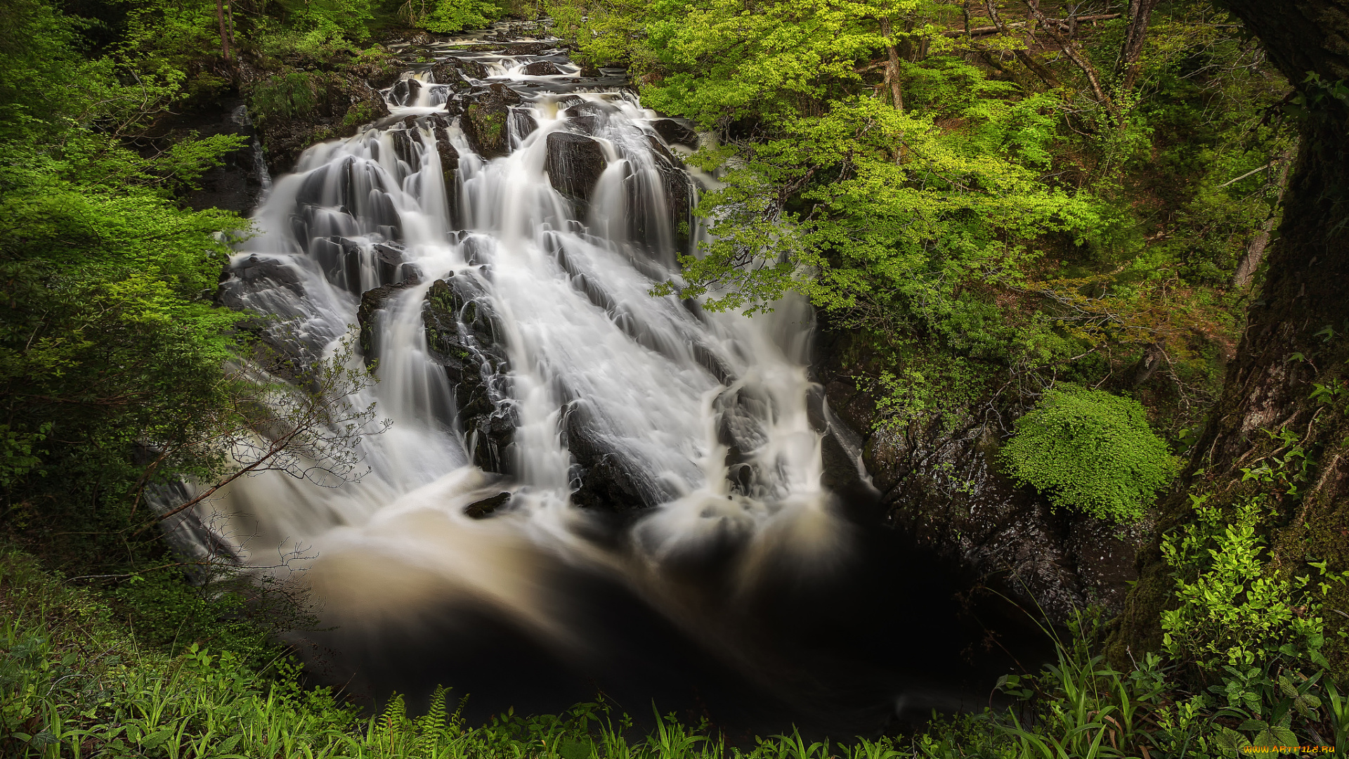 природа, водопады, водопад, река, лес