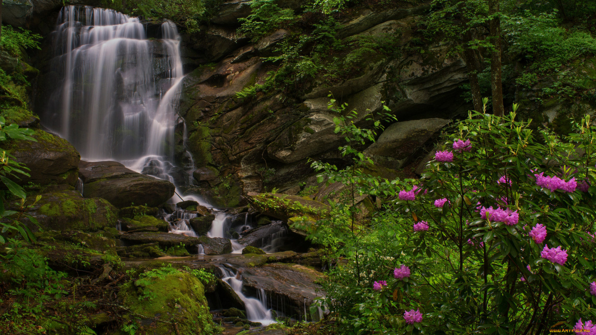 природа, водопады, водопад, река, лес