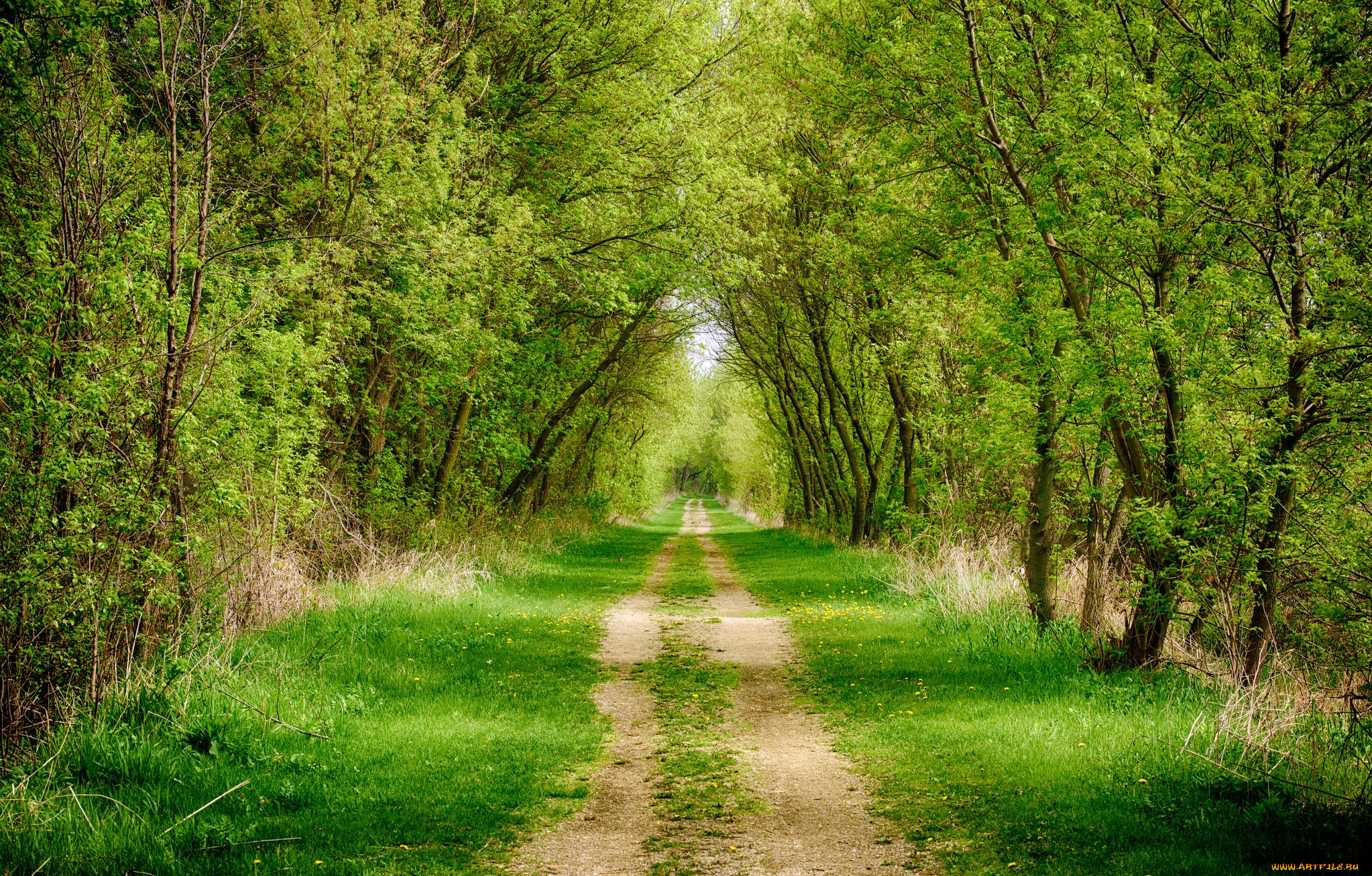 природа, дороги, тракт