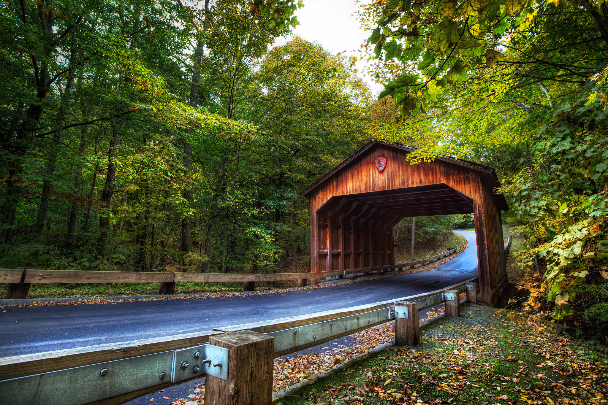 природа, дороги, тракт