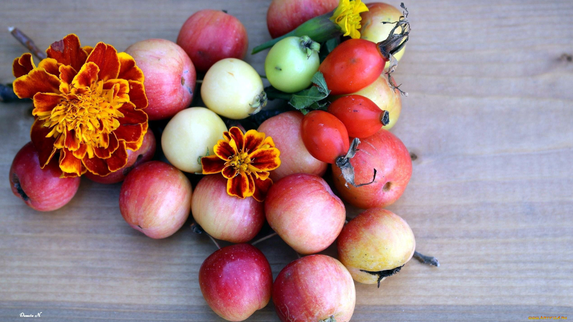 еда, фрукты, , ягоды, бархатцы, шиповник, яблоки, тагетес