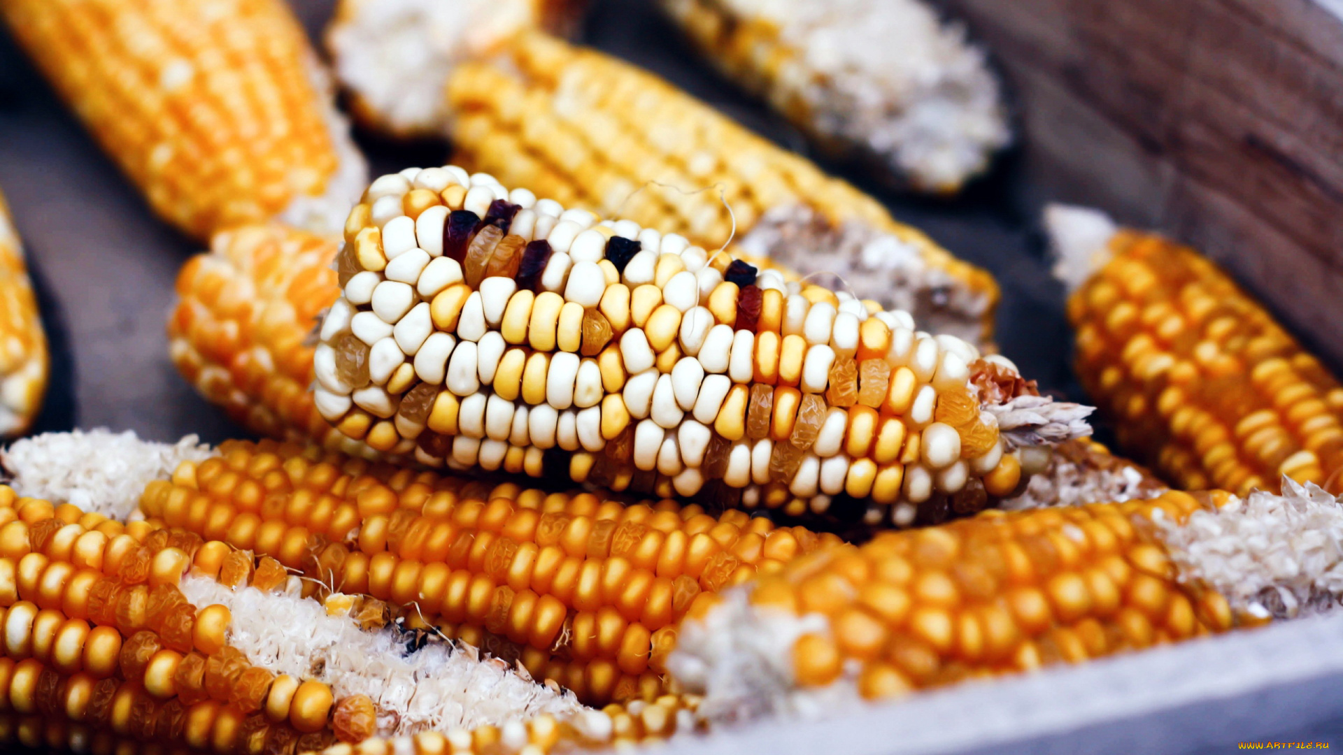еда, кукуруза, зерна