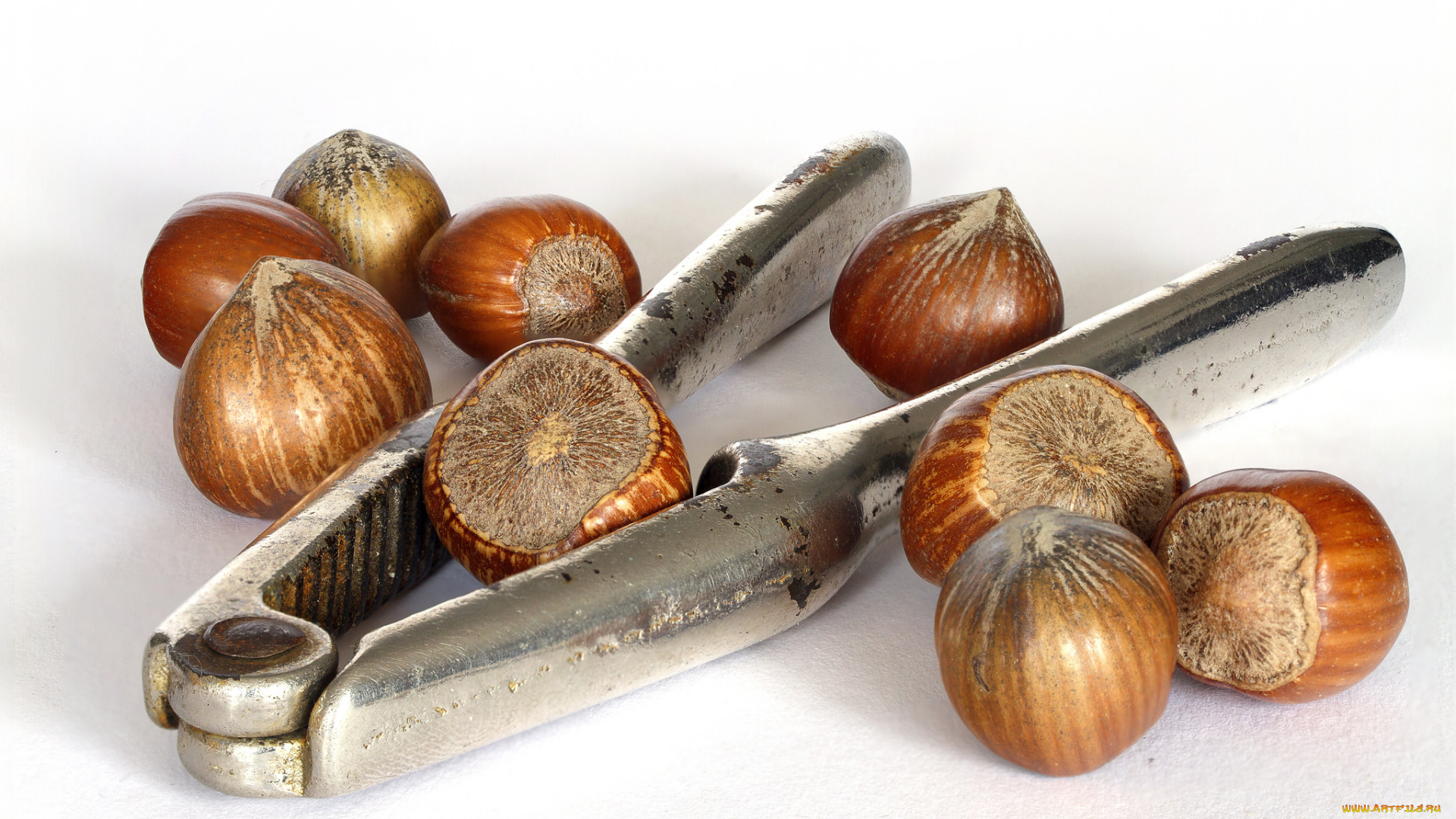 еда, орехи, , каштаны, , какао-бобы, фундук