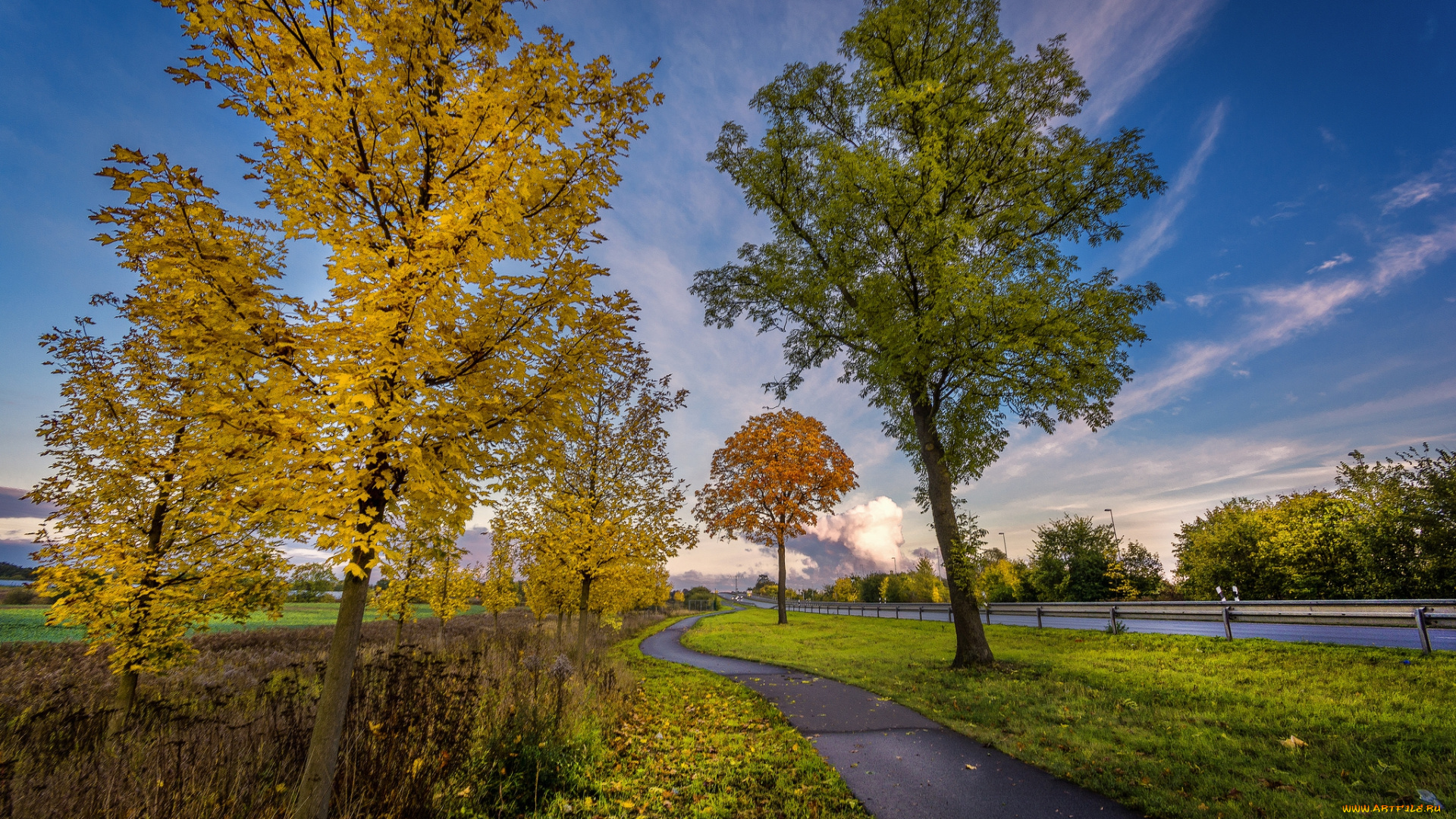 природа, дороги, простор