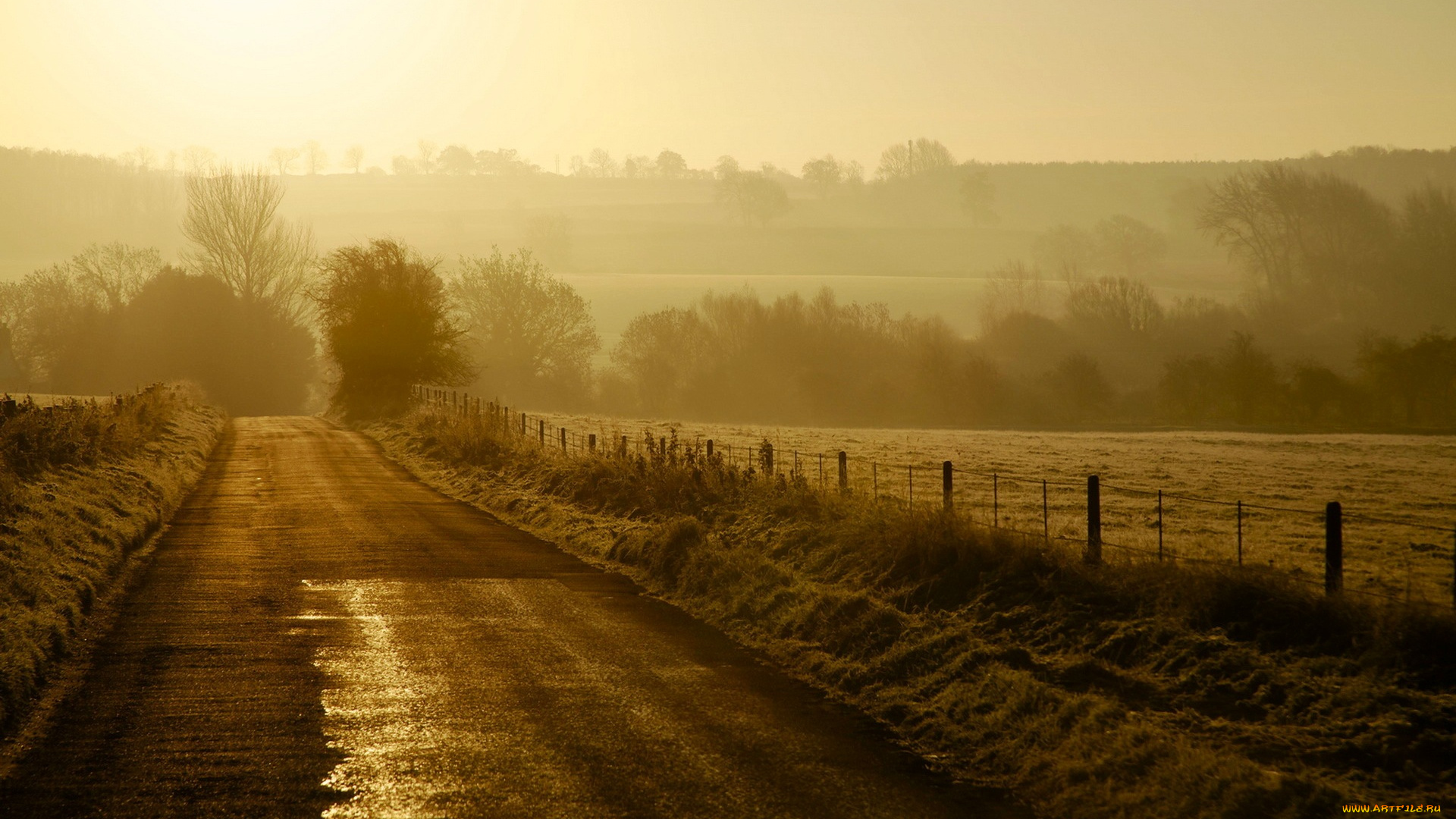 природа, дороги, туман, деревья, утро, поля, дорога