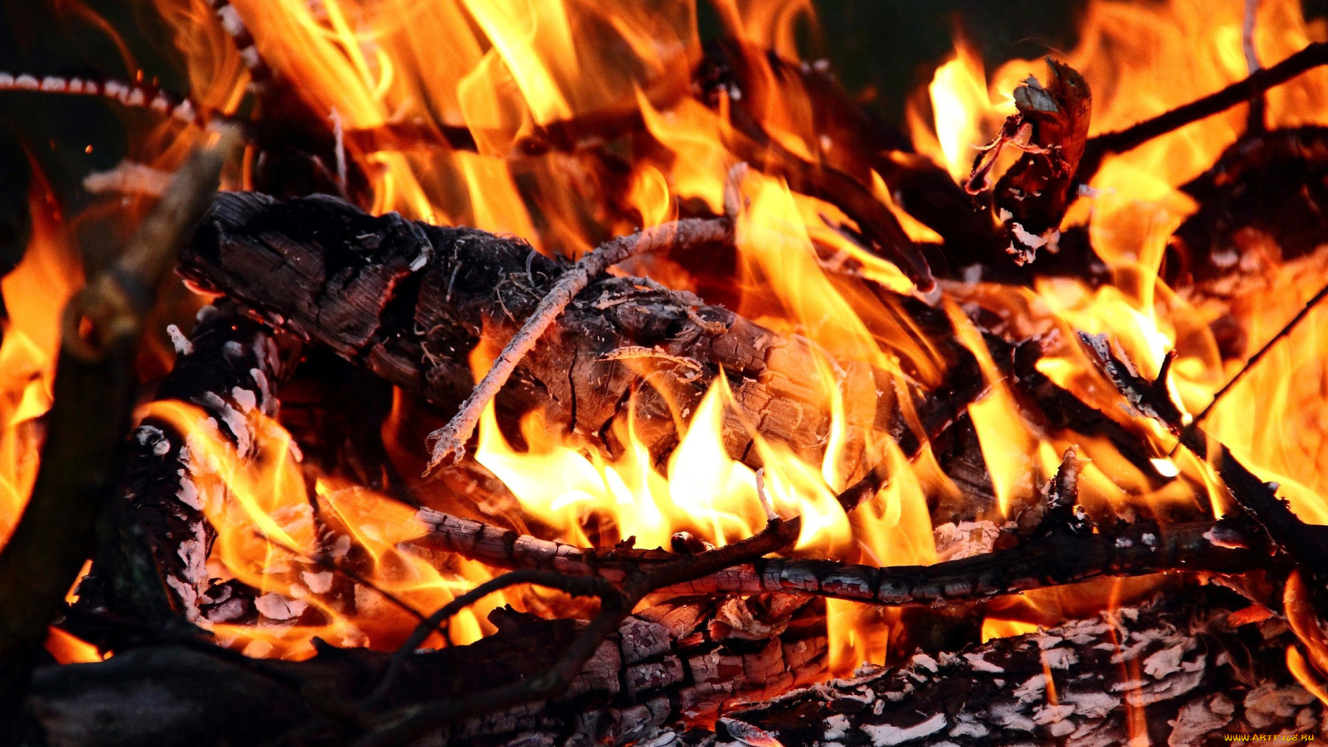 природа, огонь, пламя, угли, поленья