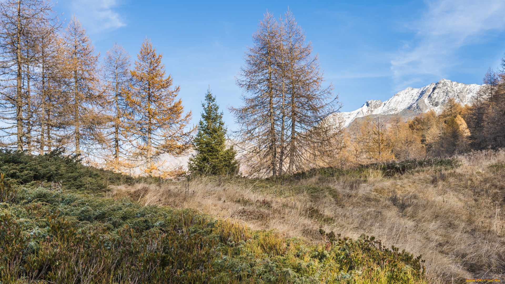 природа, пейзажи, простор