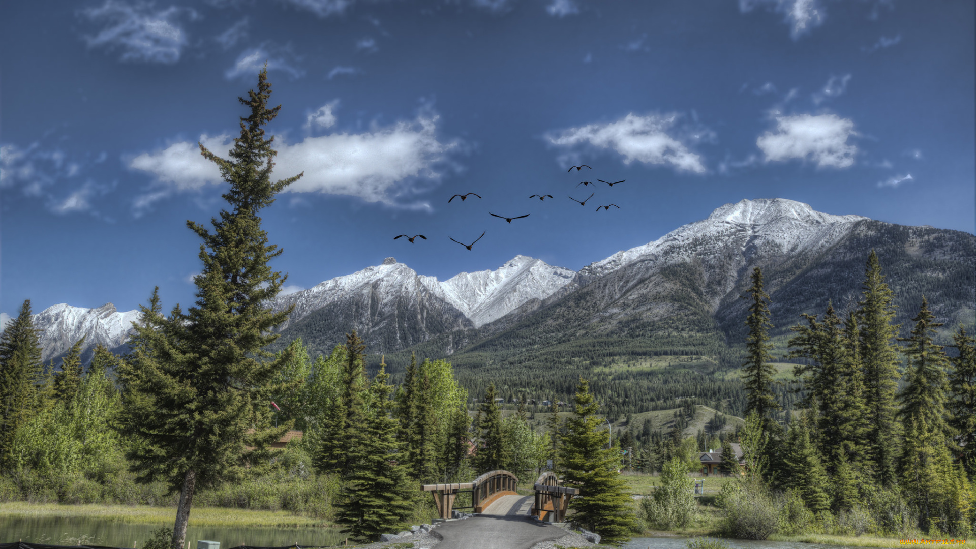 природа, пейзажи, простор