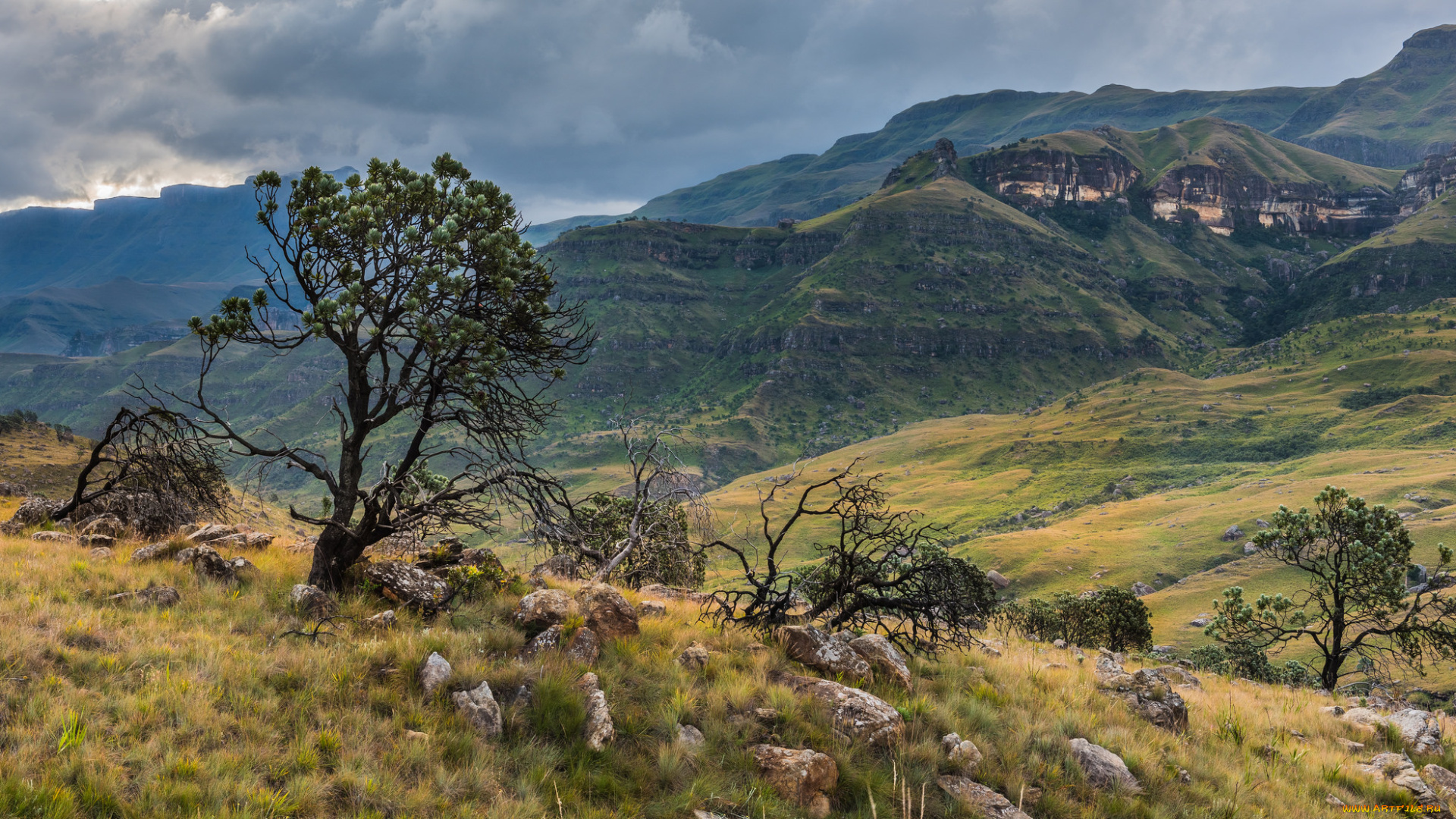 природа, пейзажи, простор