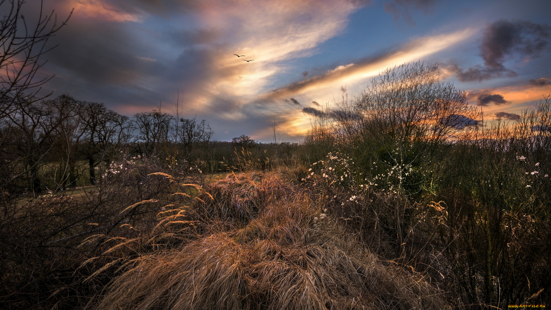природа, пейзажи, простор